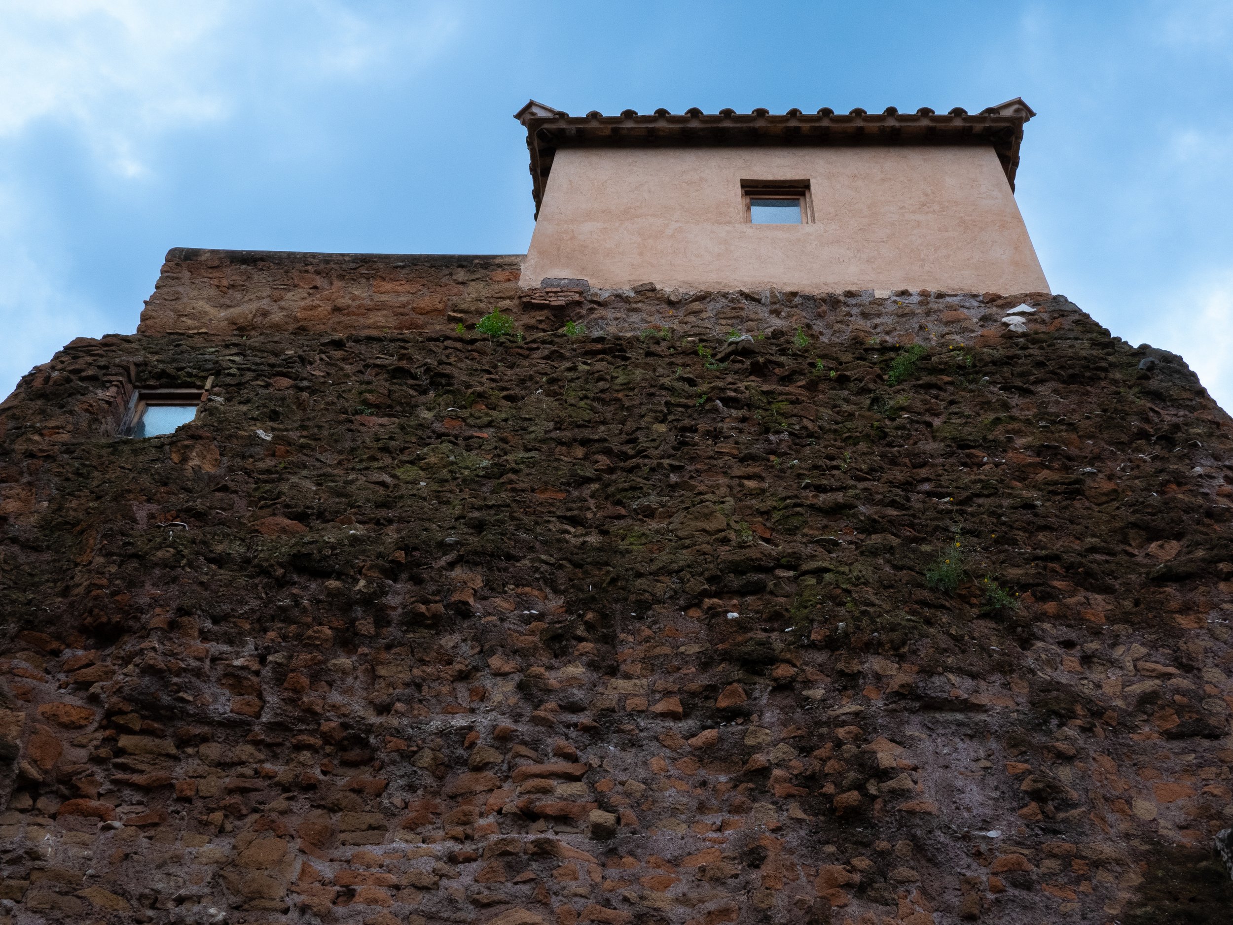 P1080456.jpg