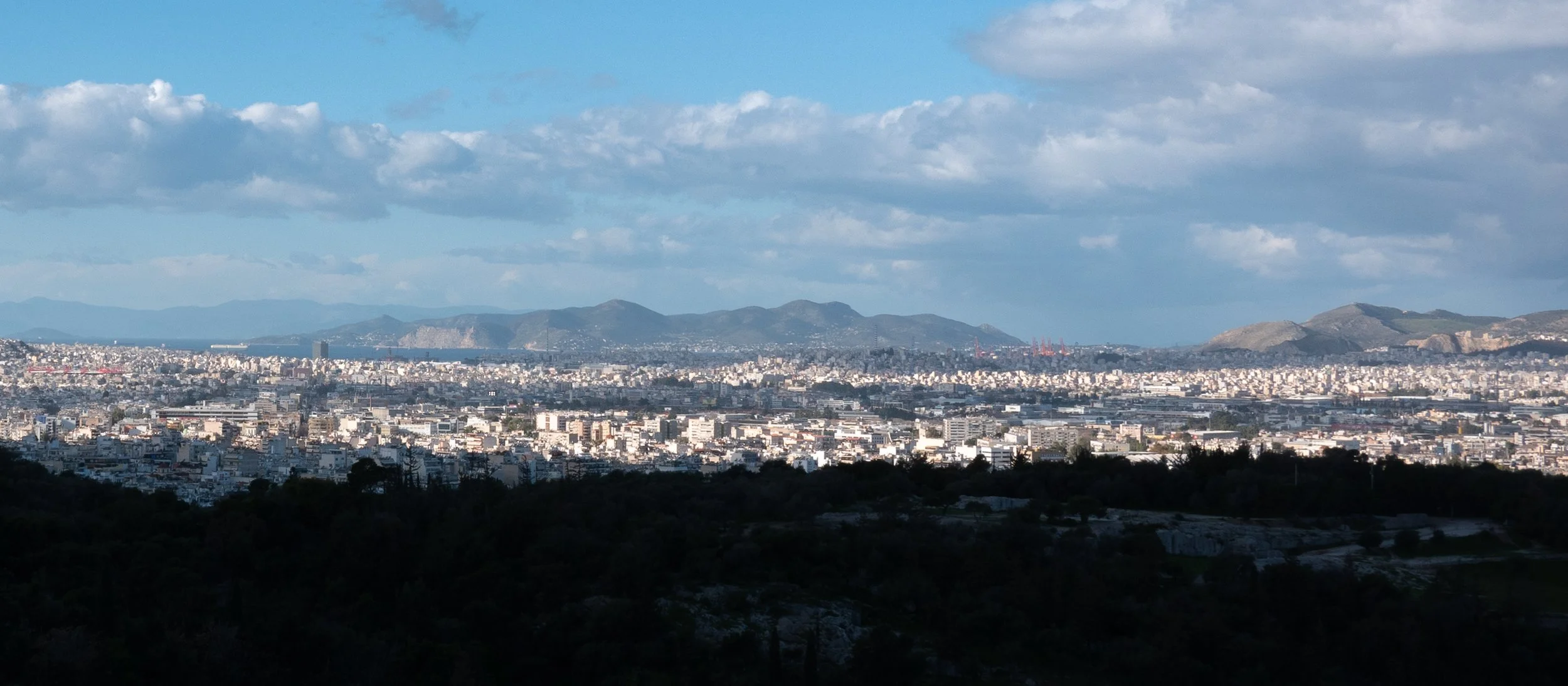 P1100288.jpg