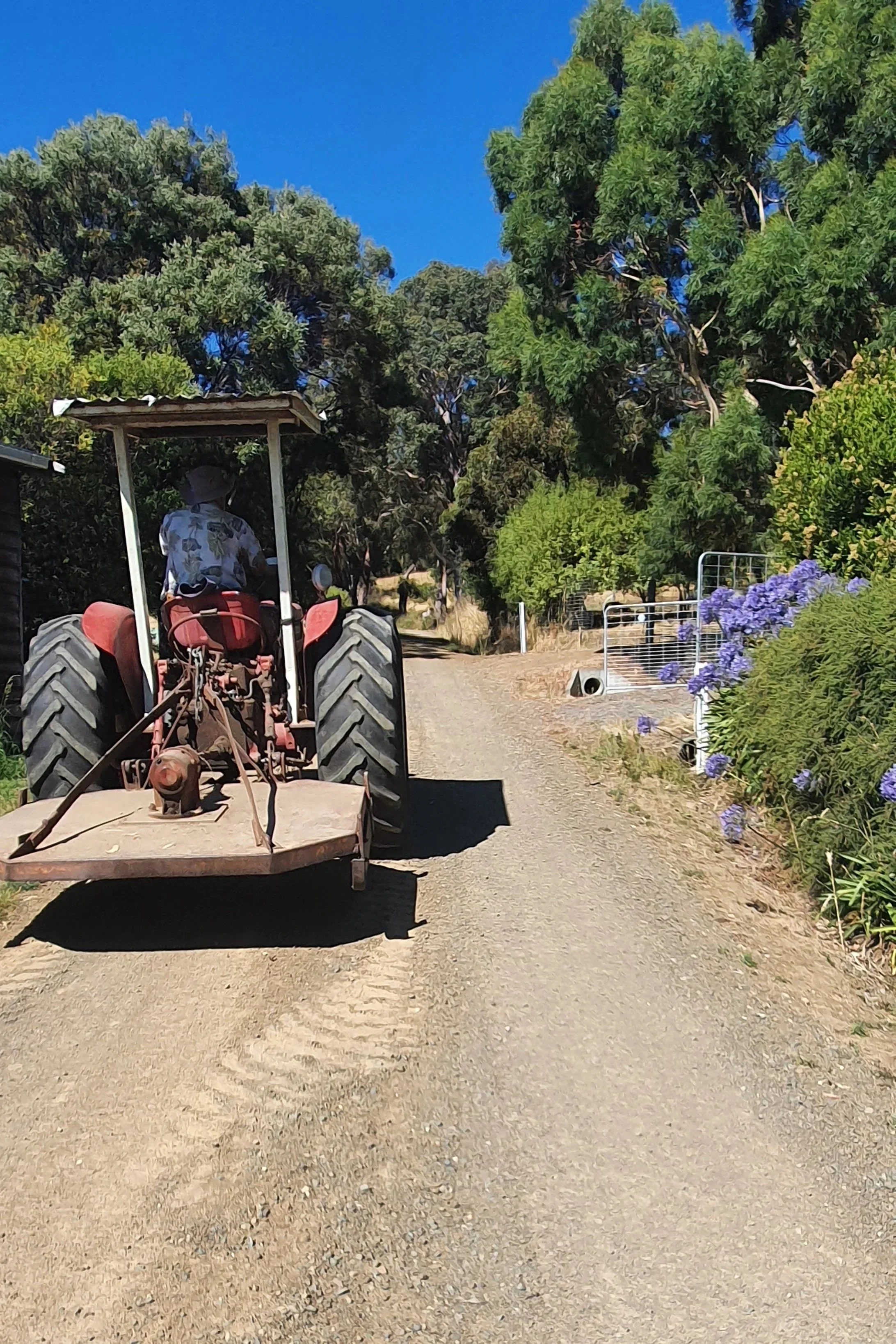 A person driving a tractor on a dirt path surrounded by trees and bushes, with blue sky overhead.