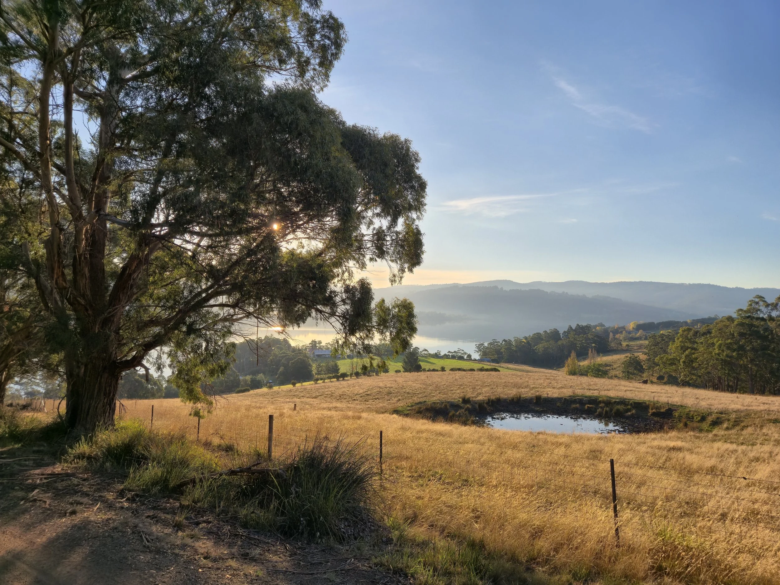 Scenic landscape with a large tree in the foreground, a lake reflecting sunlight, rolling hills, and a clear blue sky with a few wispy clouds.