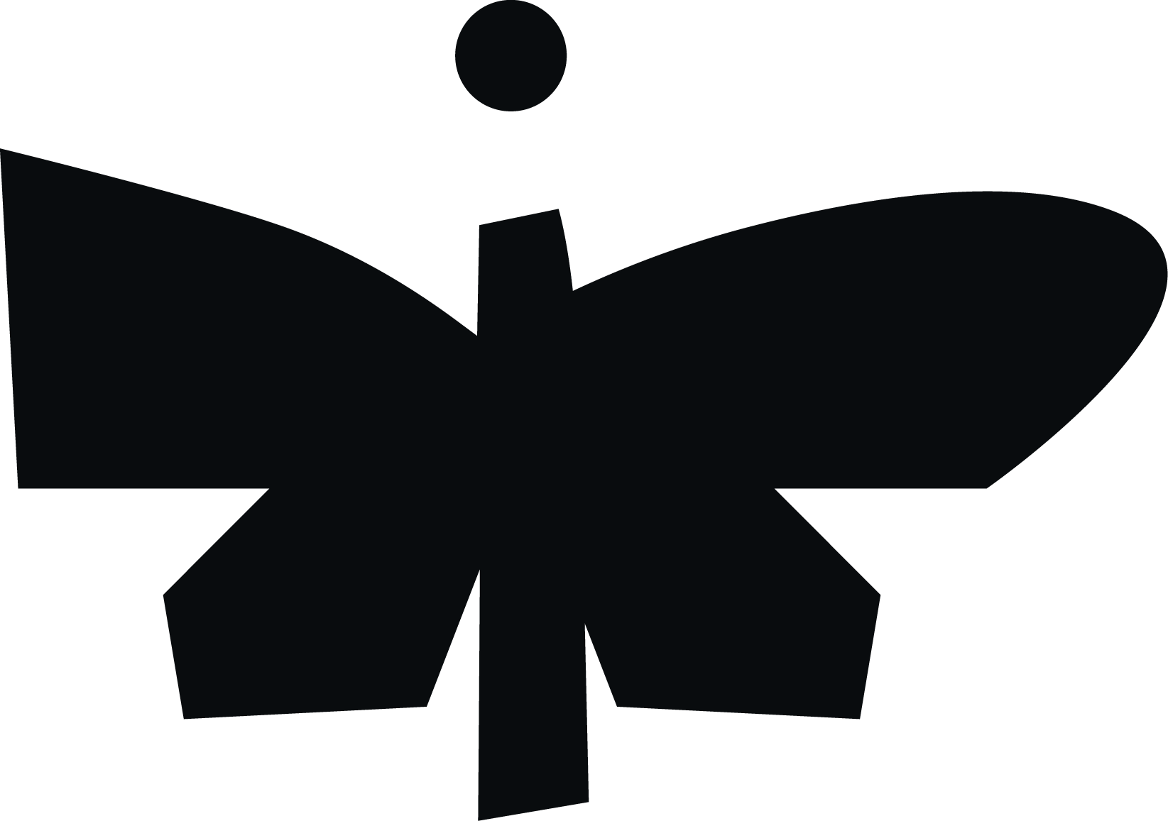 Silhouette of a butterfly on a black background.