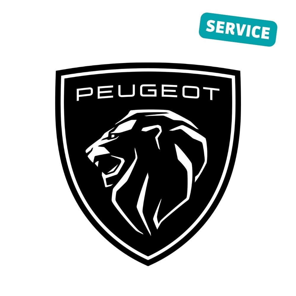 6 service.jpg