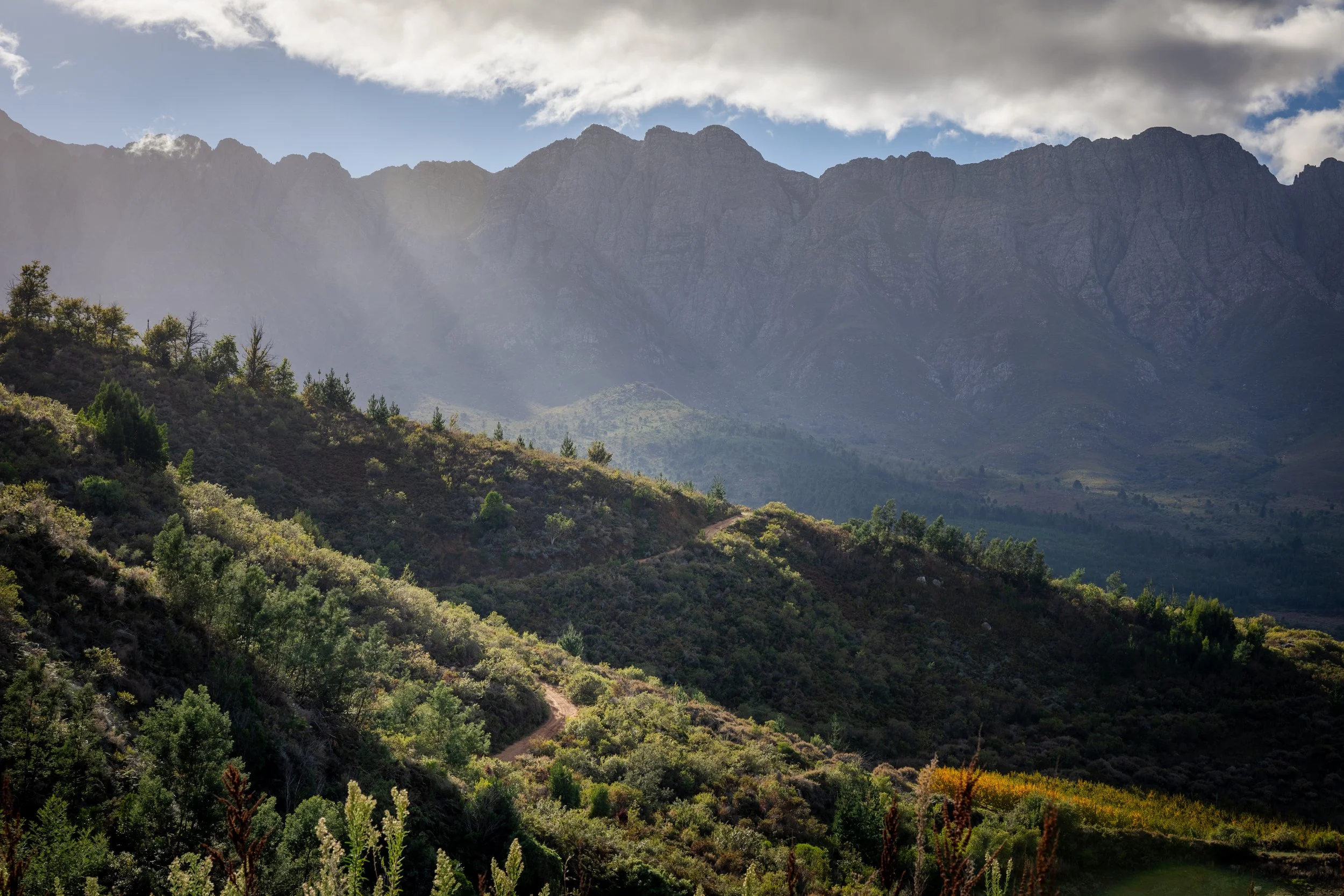 Mountains with cloudy sky and green forested landscape in the foreground.