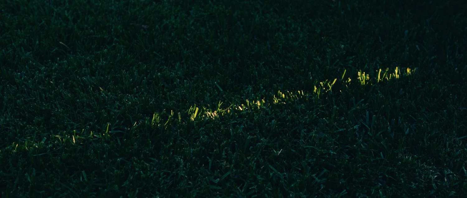 Film still from Things Will Be Different, showing a dark green grassy field crossed by a faint yellow line of light.