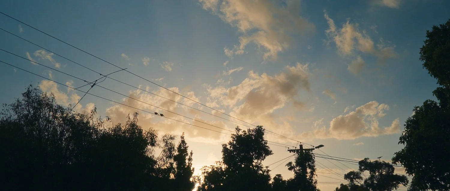 Film still from Things Will Be Different, showing a sunset sky with silhouetted trees, power poles and overhead lines.