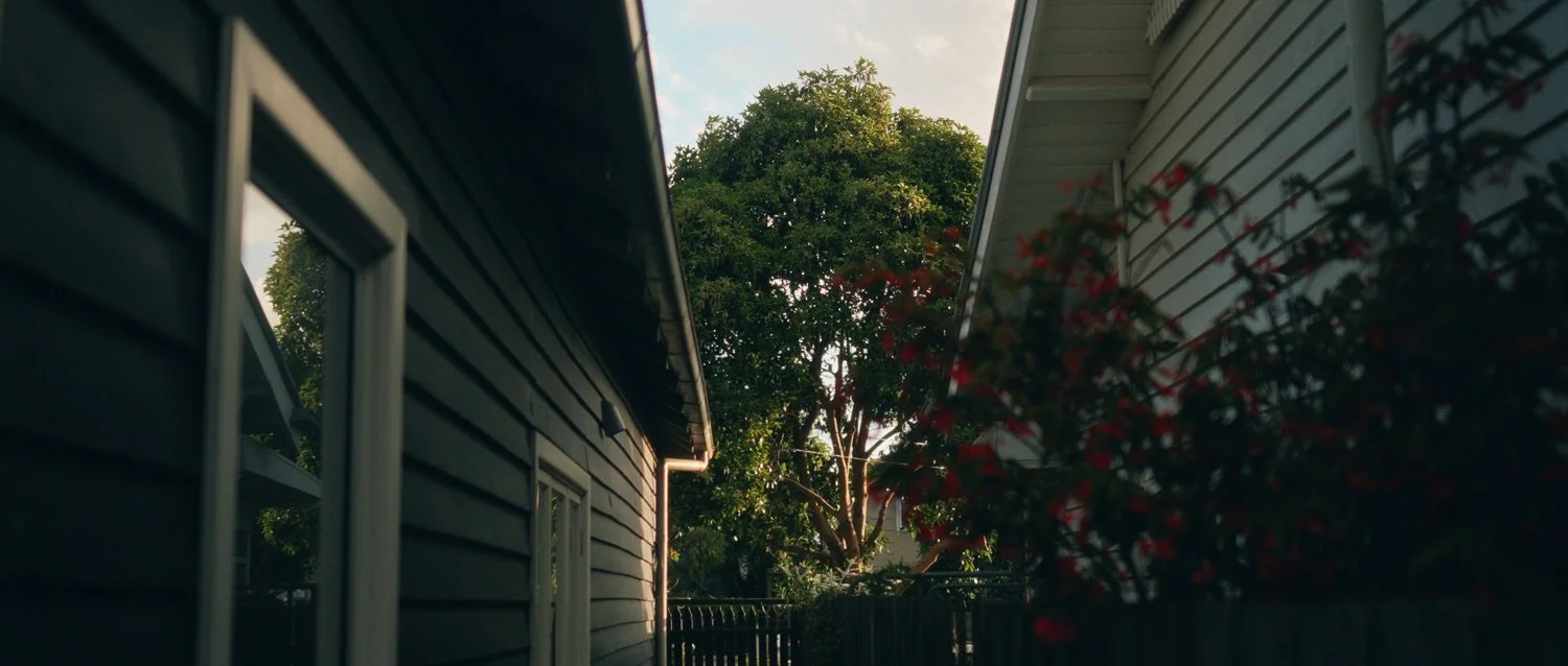 Film still from Things Will Be Different, showing a narrow view between two houses with a tree and sky beyond, and plants in the foreground.