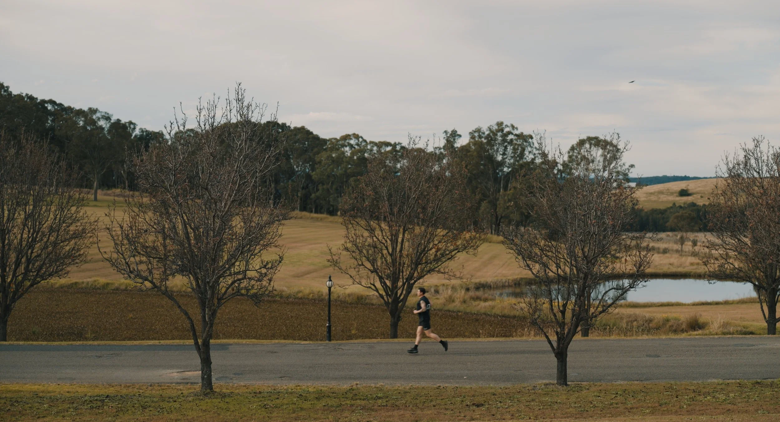 A park scene featuring leafless trees, a person jogging on the sidewalk, a pond, and grassy hills in the background under a cloudy sky.
