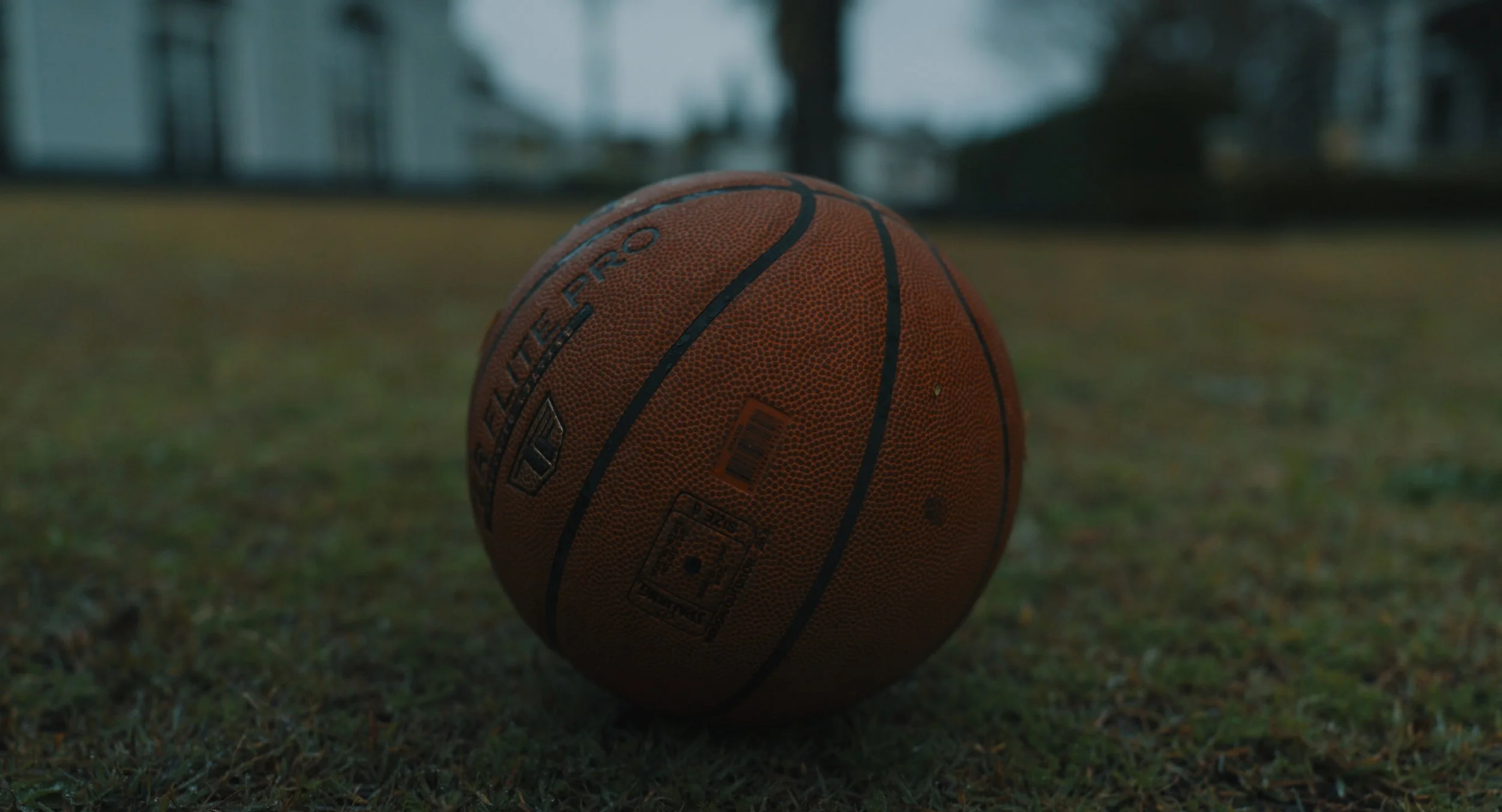 A single basketball sitting on a grassy outdoor field with a blurred background of trees and buildings.