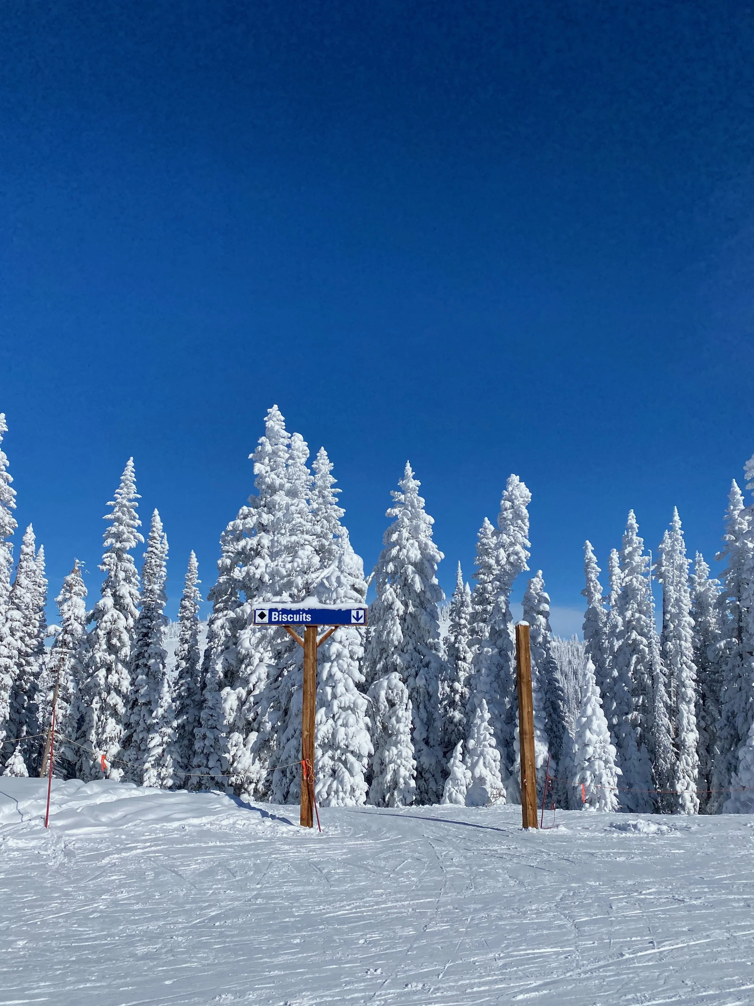 Steamboat-Springs-Black-diamond-blubird-day.jpeg