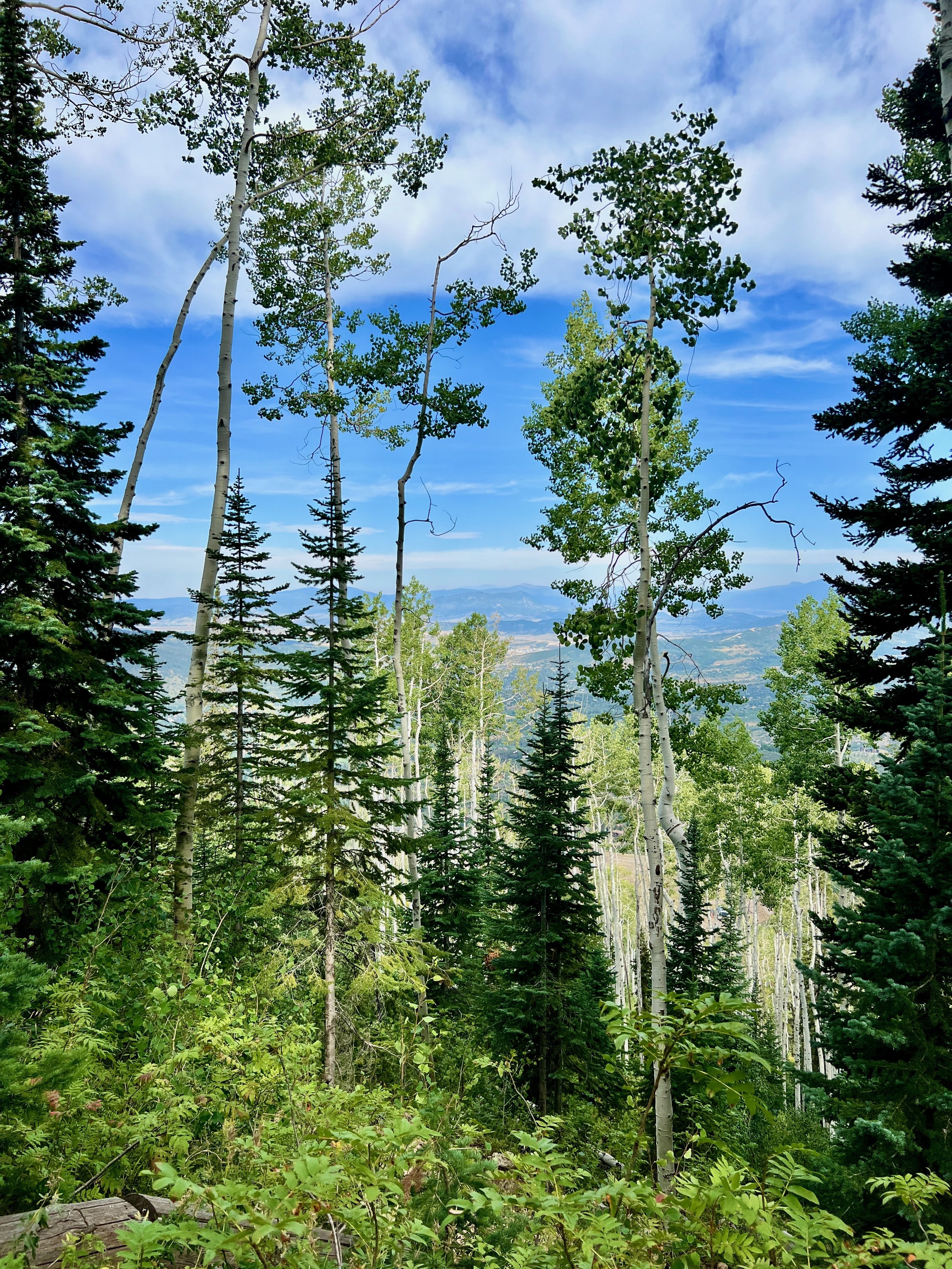 Steamboat-Springs-hike-mount-werner.jpeg