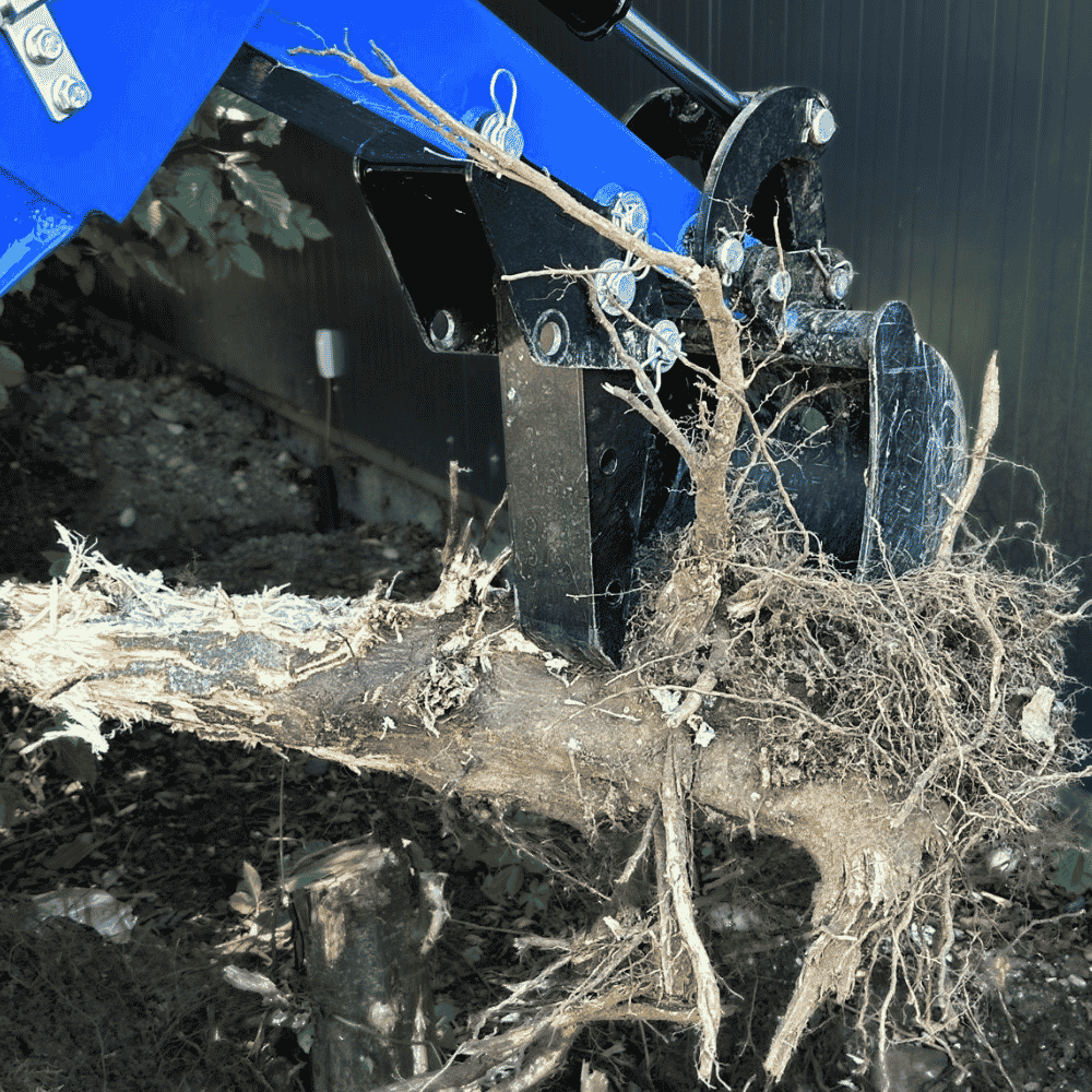 Baum wird von einer Maschinenklaue ausgegraben.