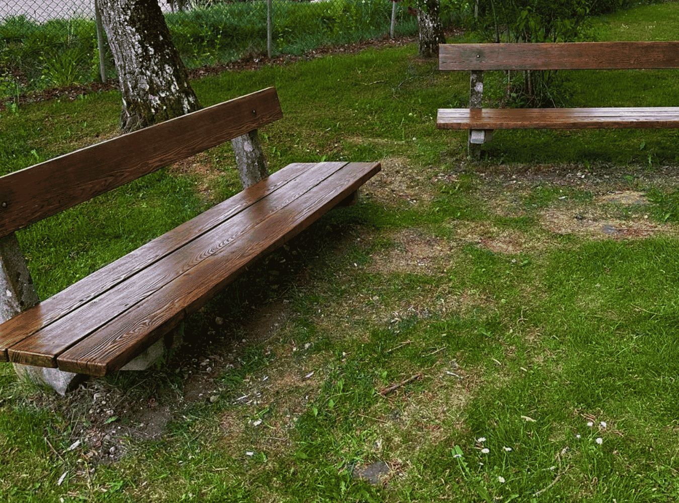 Zwei Holzbänke in einem Park mit Gras, Bäumen und einer Umzäunung im Hintergrund.