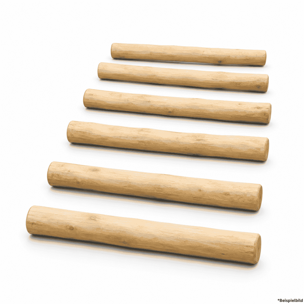 Aufstiegstreppe aus Robinienholz