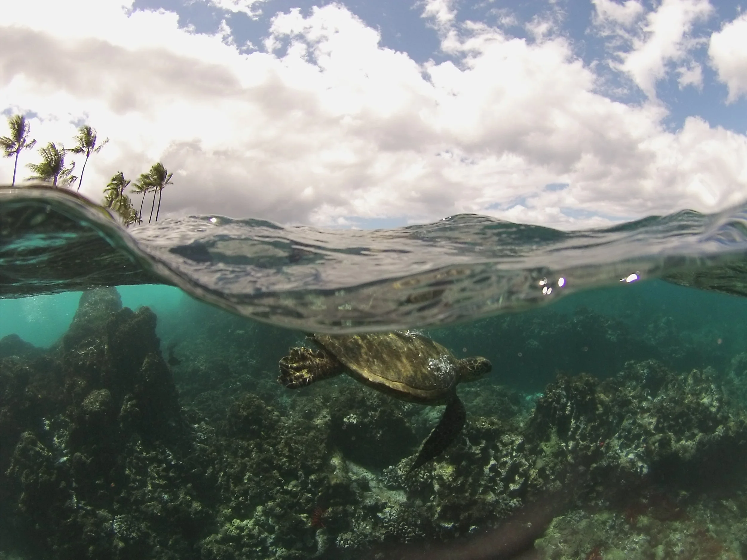 22 Years on the Ocean: What It's Given Me