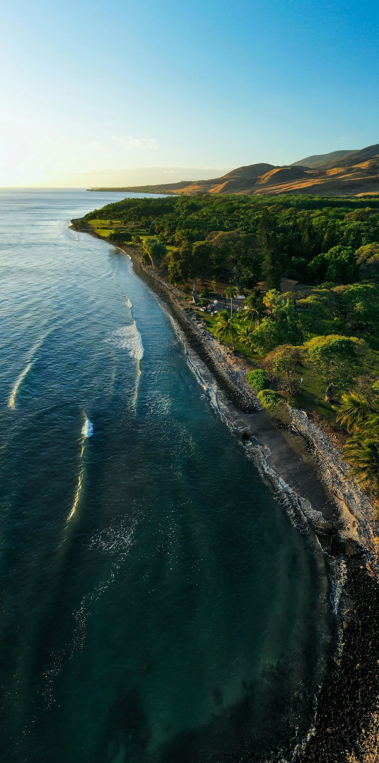Aerial view of a coastal area with a rocky shoreline, lush green trees, and hills in the background, during late afternoon sunlight.