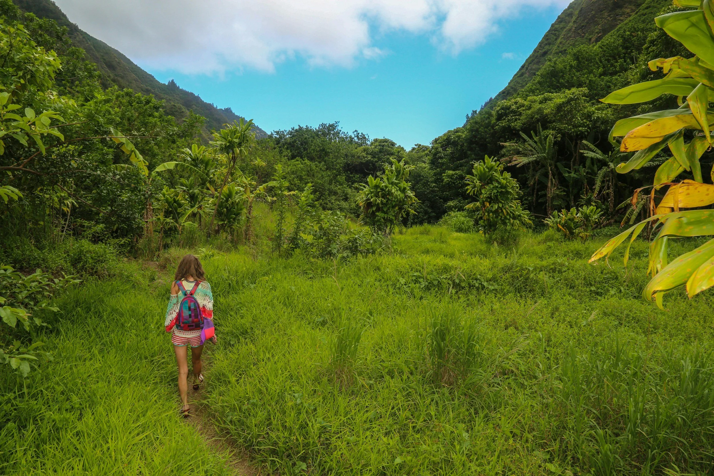 A young girl with a backpack walking through a lush green forest with tall trees and mountains in the background under a partly cloudy sky.