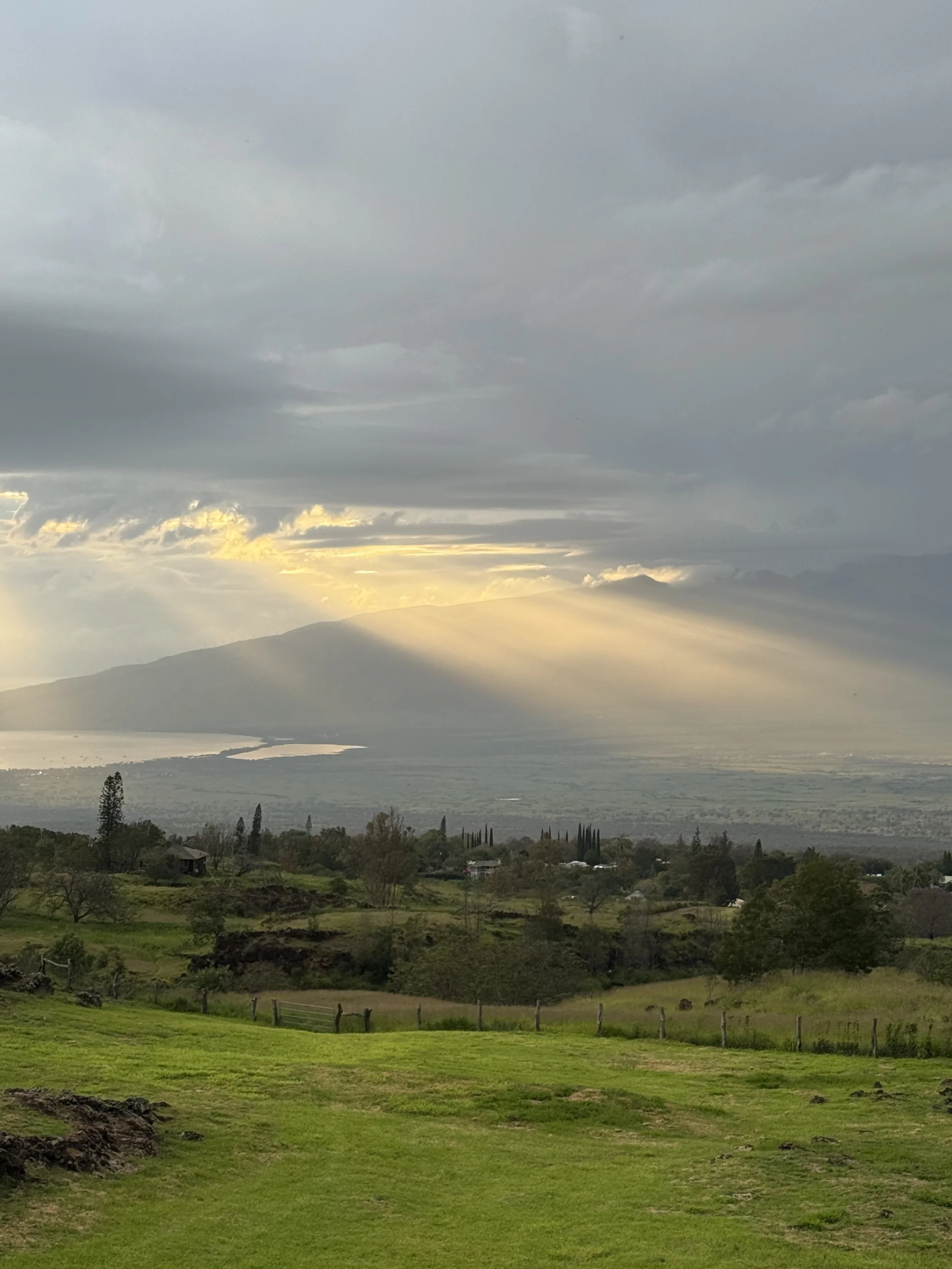 A scenic landscape showing a cloudy sky at sunset, with rolling green hills, trees, and a distant body of water with mountains in the background.
