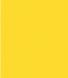Solid yellow background