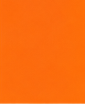 Solid orange background with a smooth gradient.