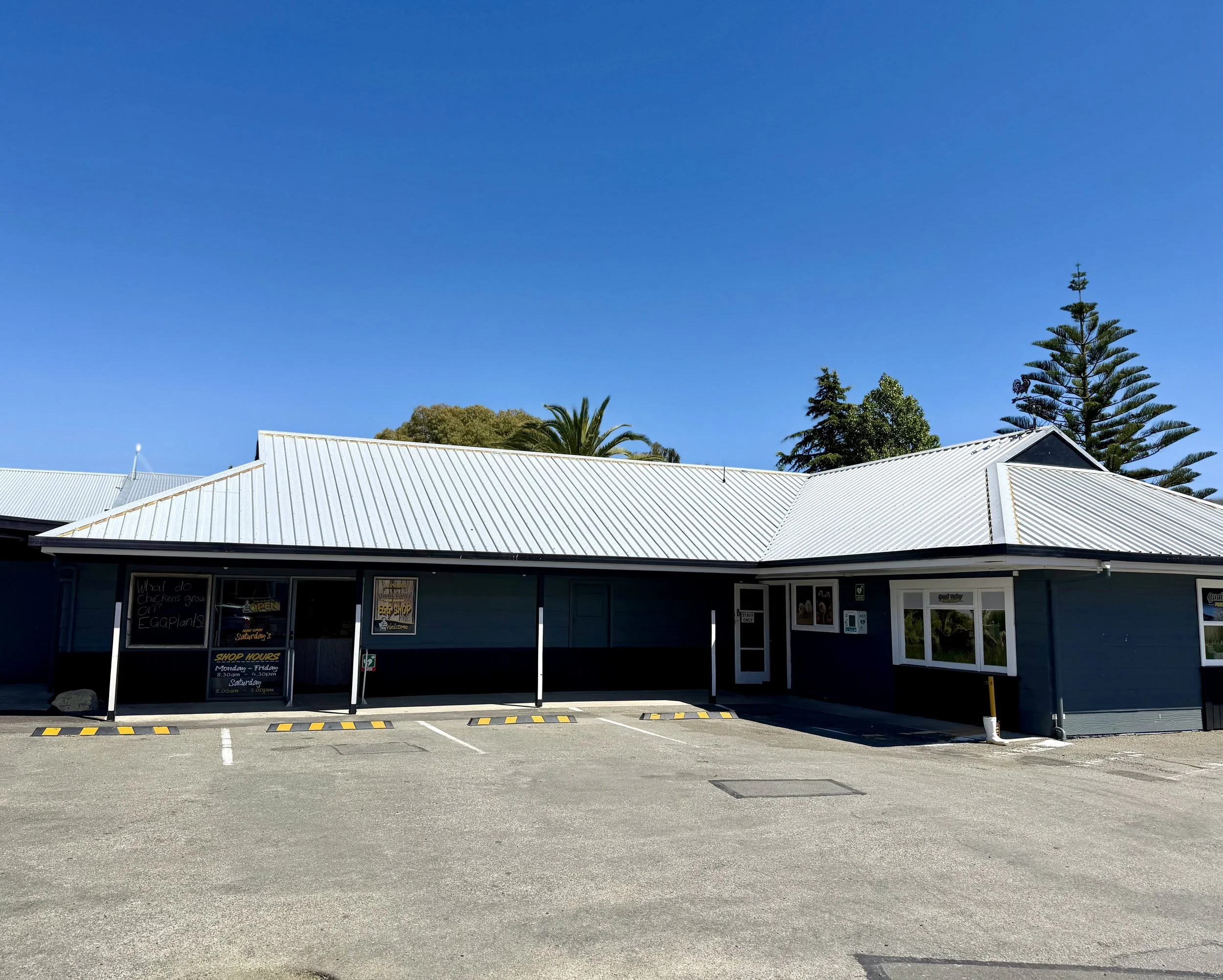 Parking lot in front of a building with a white metal roof, black walls, and a large window. There are yellow parking space lines and a few empty parking spots. The sky is clear and blue with a few trees visible behind the building.