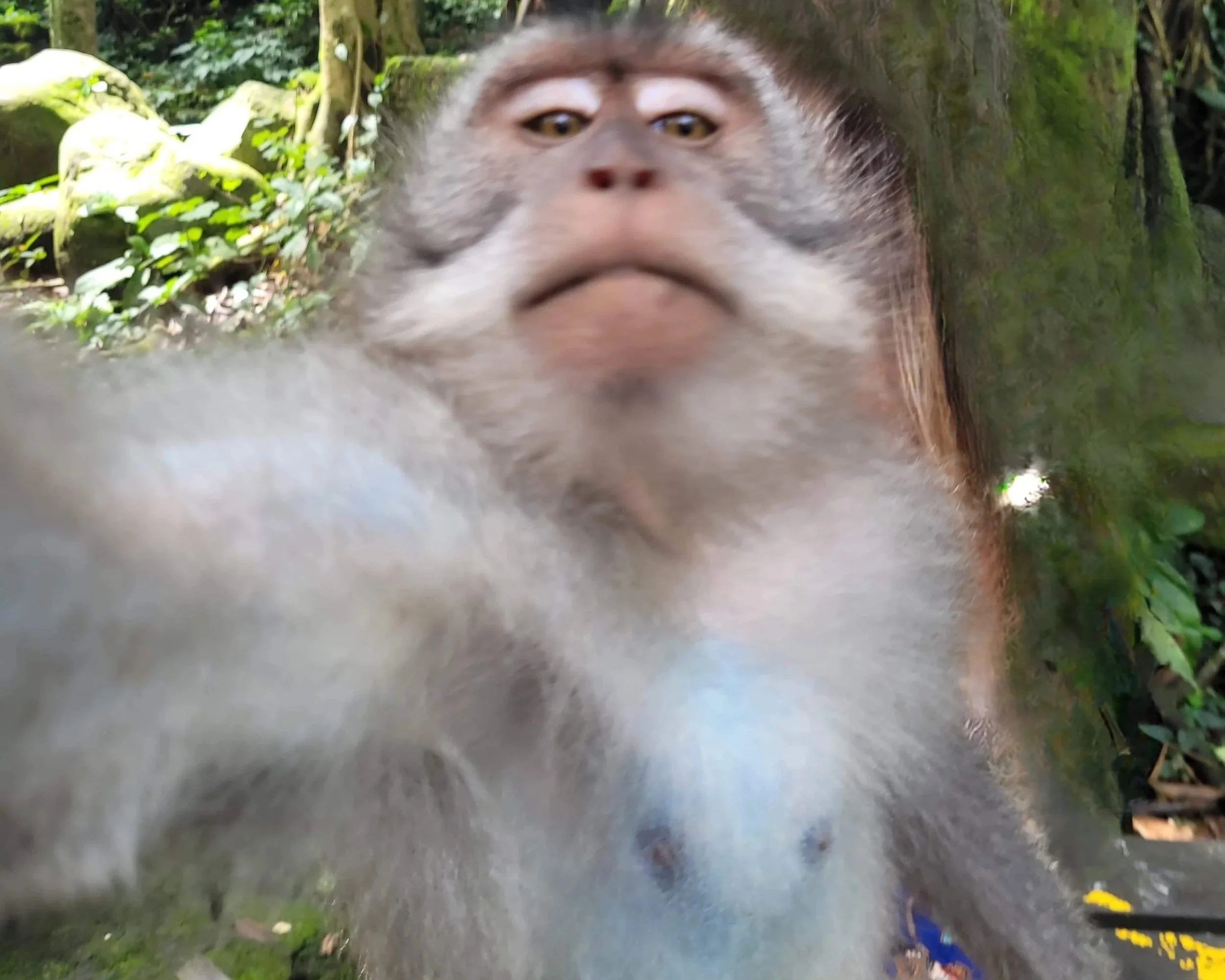 Selfie du jour