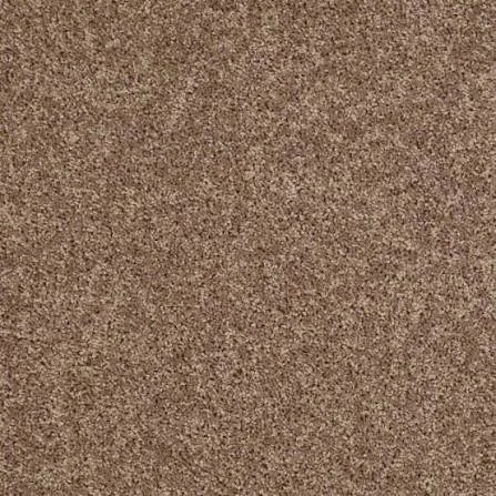 WISH TREE 8x10 Area Rugs For Living Room, Fluffy Shaggy Rug Soft Carpets, Big Rugs For Bedroom