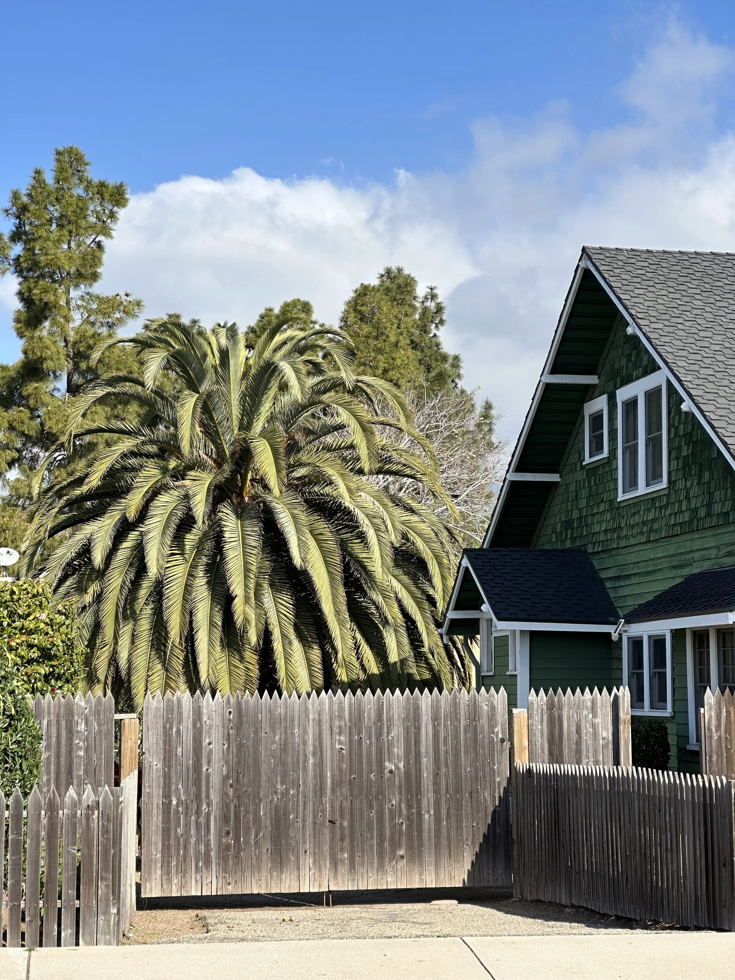 A backyard fence in front of a green house with a gray shingle roof, surrounded by tall trees including a palm tree, under a partly cloudy blue sky.