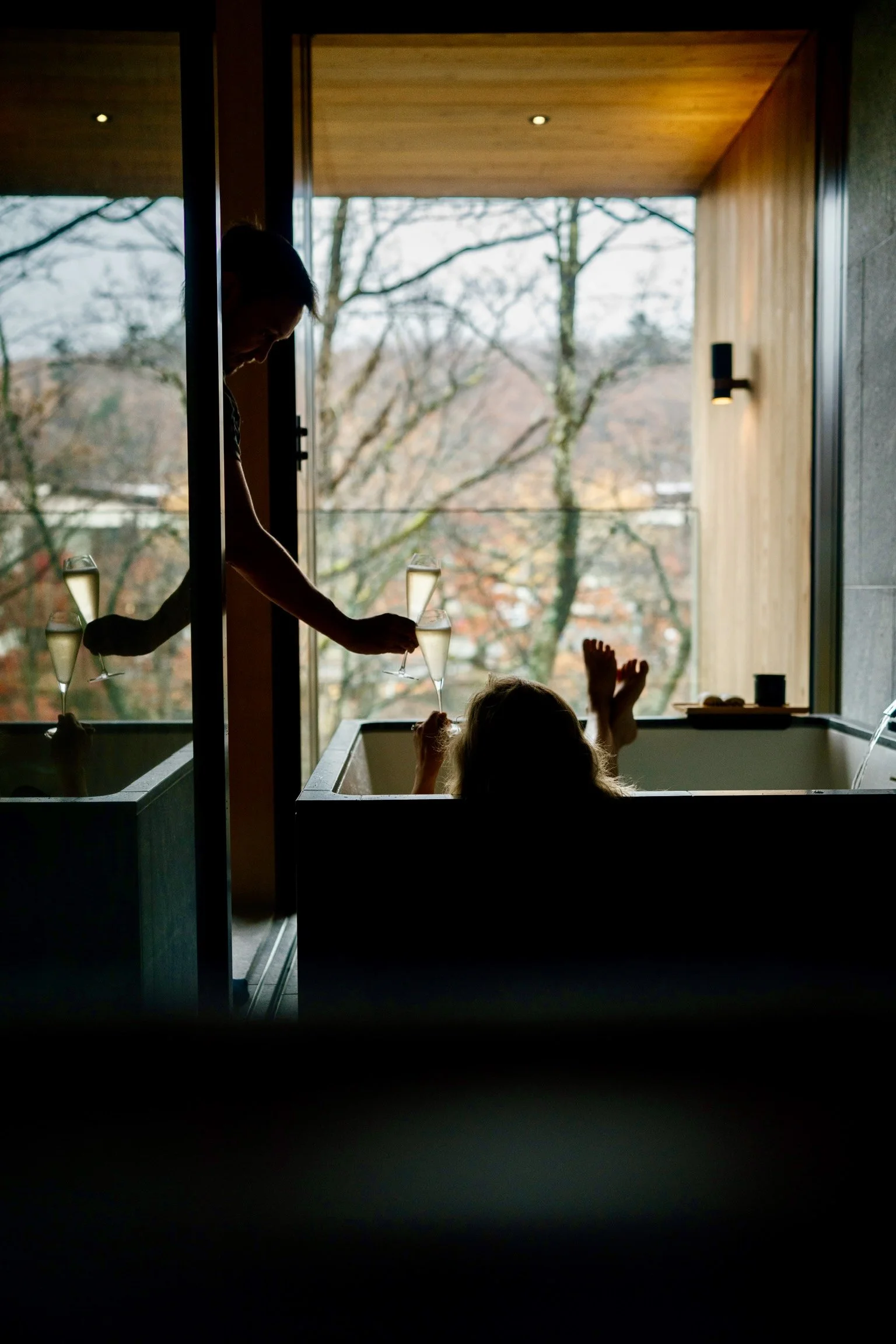 Silhouette of a person pouring a drink into a glass, with a child reaching up from a bathtub, in a room with large window showing trees outside.