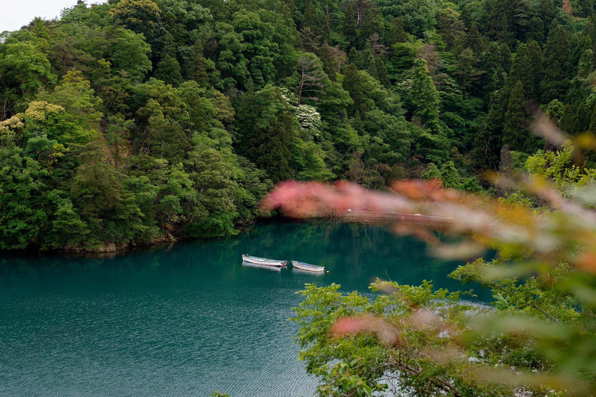 Noto-Tsukumo-bay