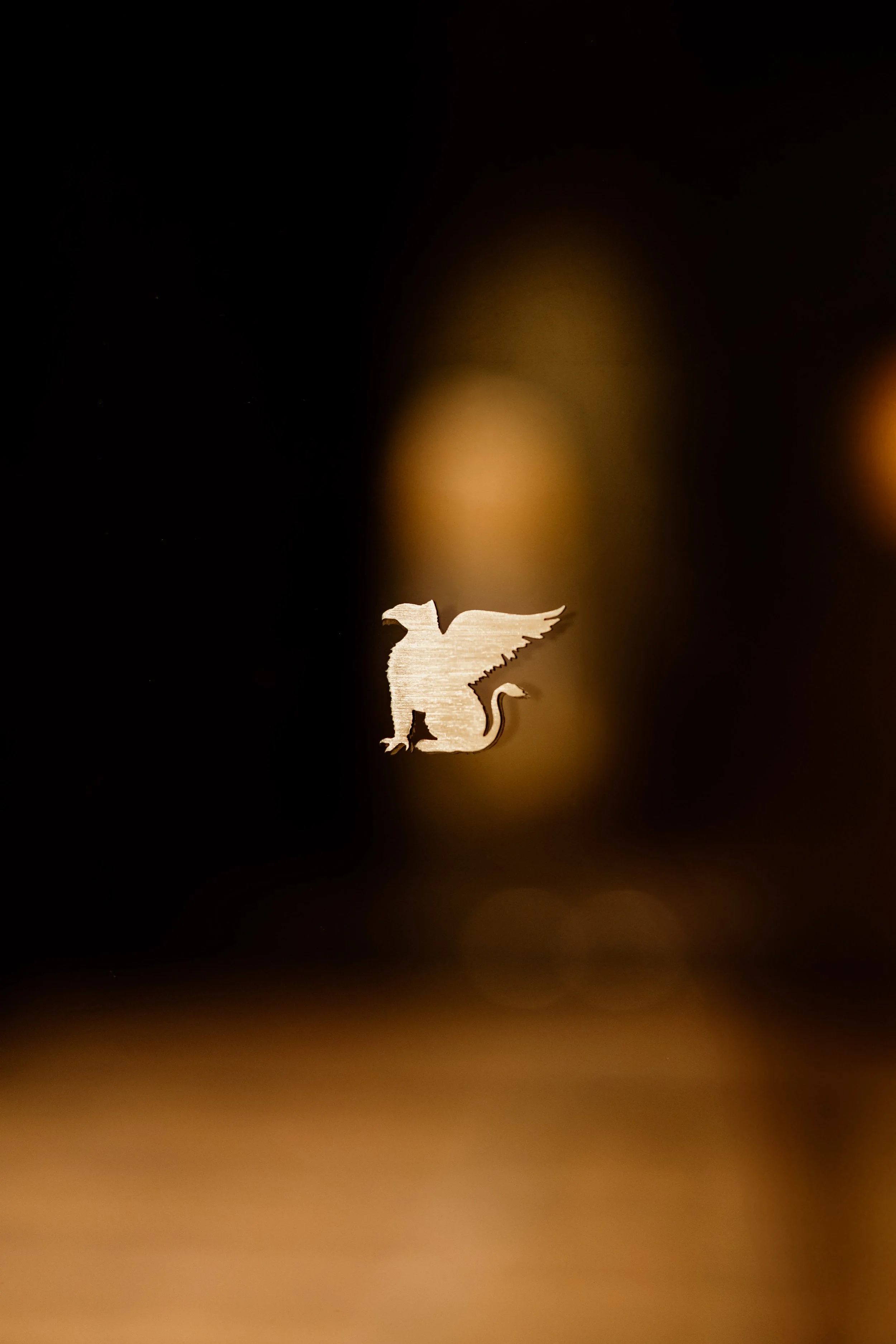 A lit glowing silhouette of a dragon sitting on a flat surface against a dark background with bokeh effects.