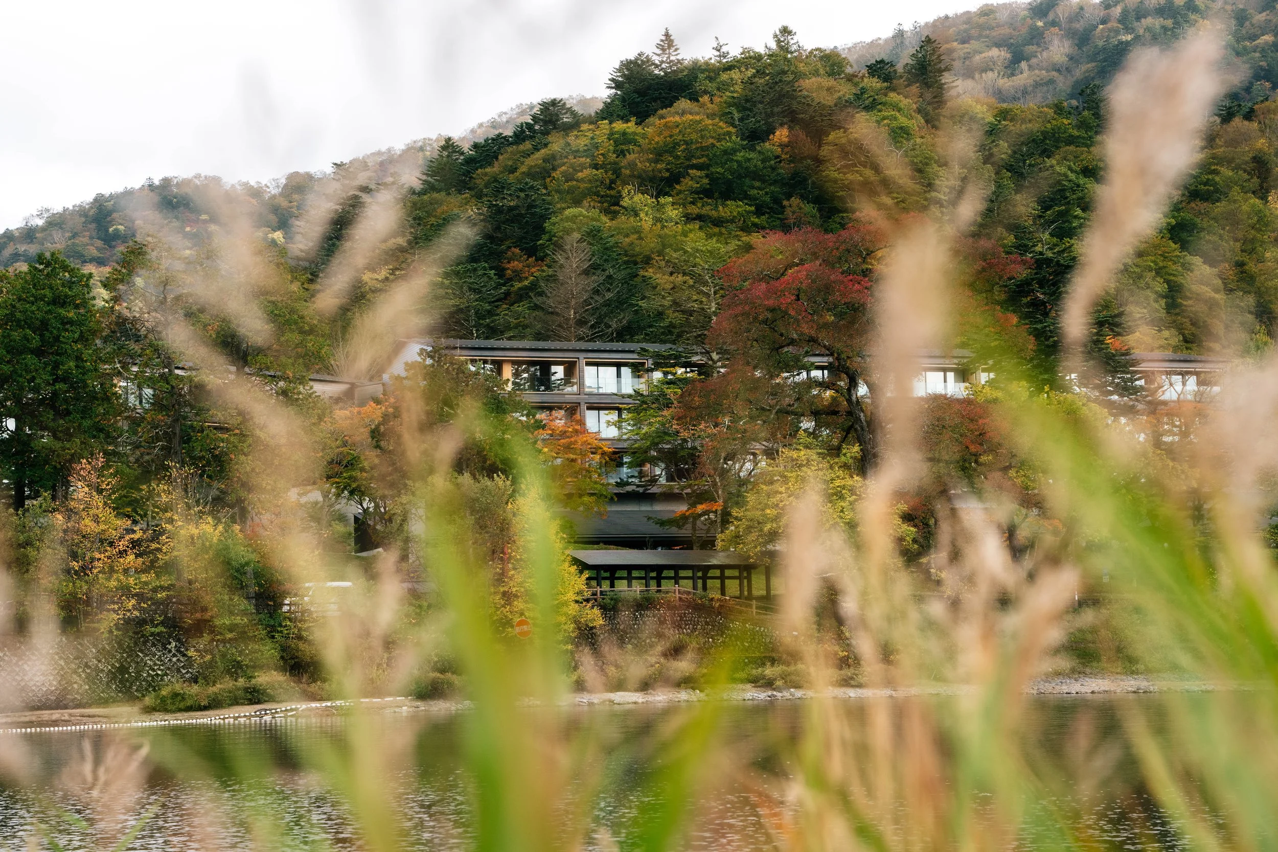 Autumn foliage view of the Ritz-Carlton, Nikko - editorial hotel photography, Japan.