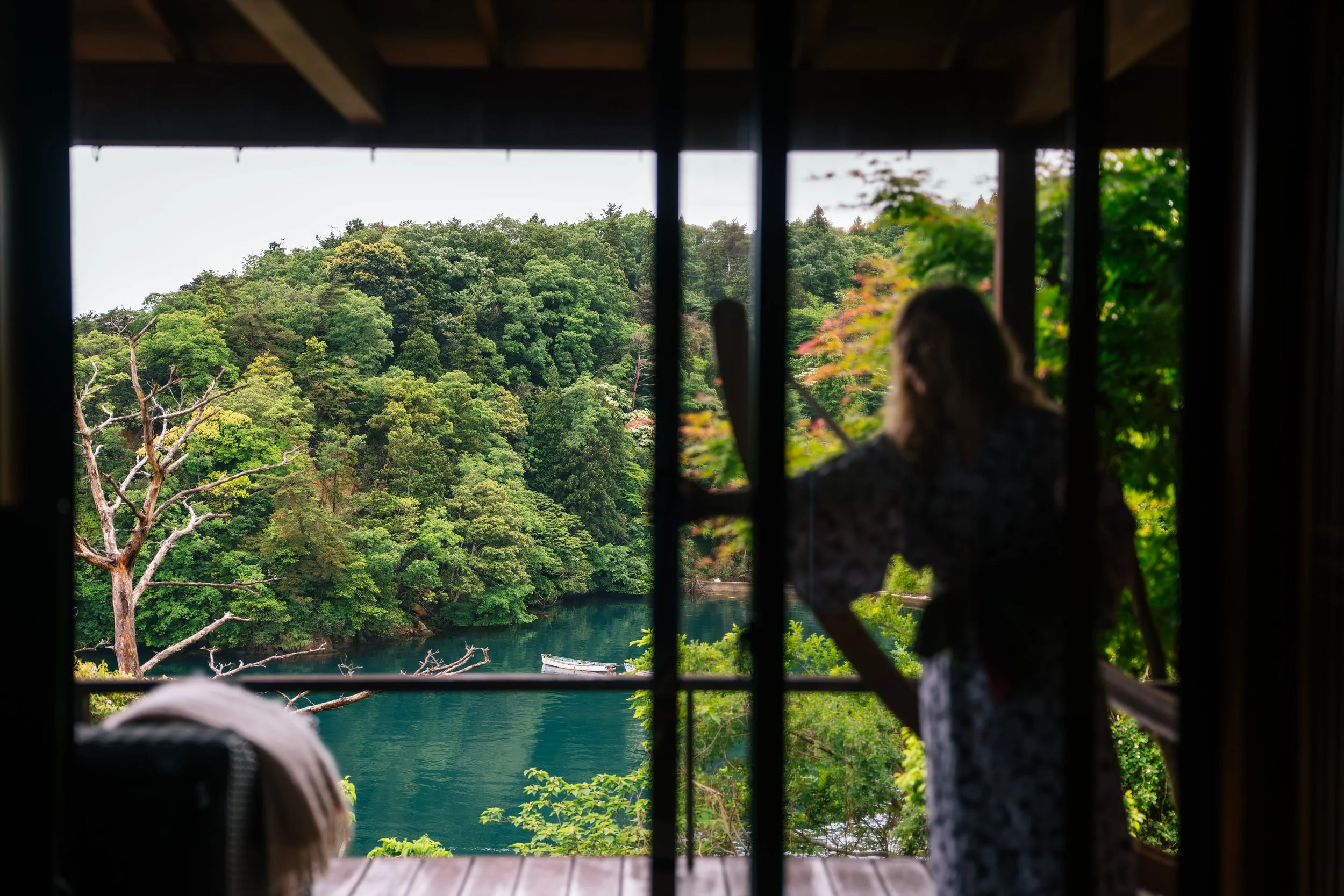 View of a lush green forest and river through a window with black bars, with a person in the lower right corner looking outside.