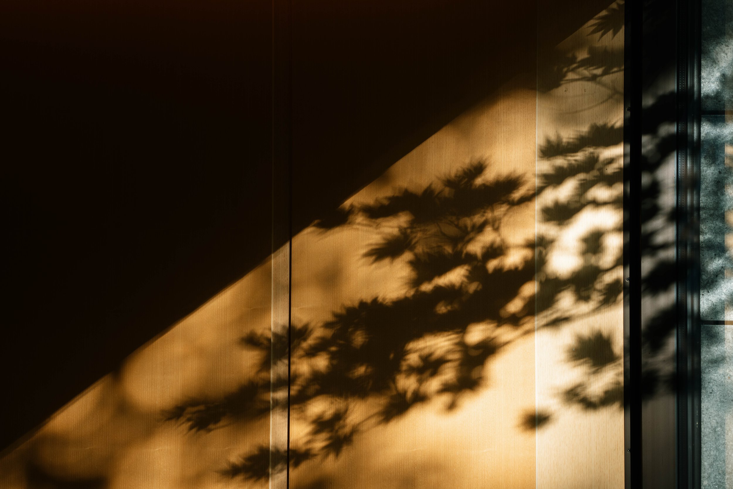 Shadows of palm trees cast on a gold-colored wall near a window with water reflections.