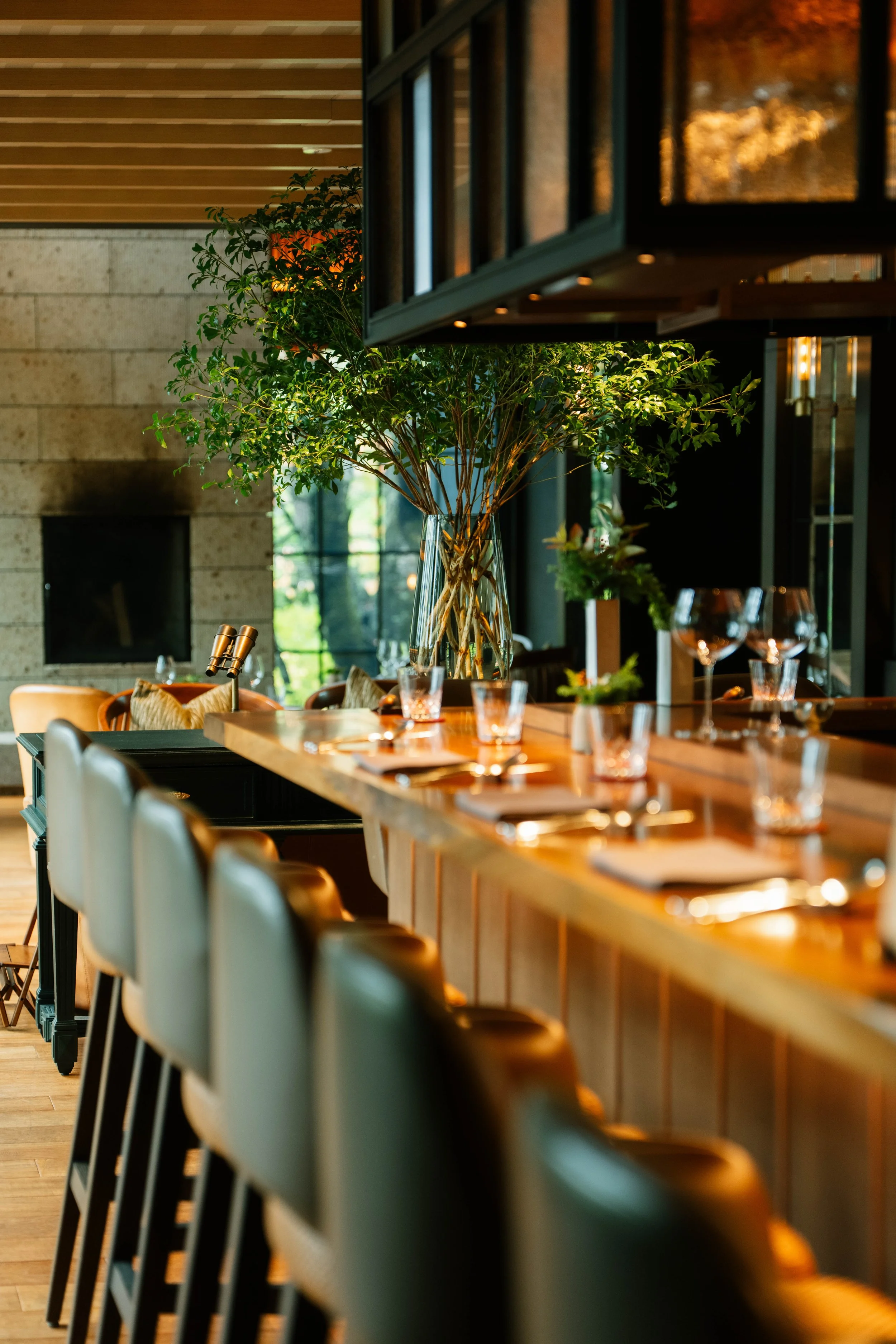 Interior of a modern restaurant or dining area with a long wooden table and gray chairs. A large glass vase with a green leafy plant is placed on the table, illuminated by warm lighting. The background features large windows, a stone wall, and a deco