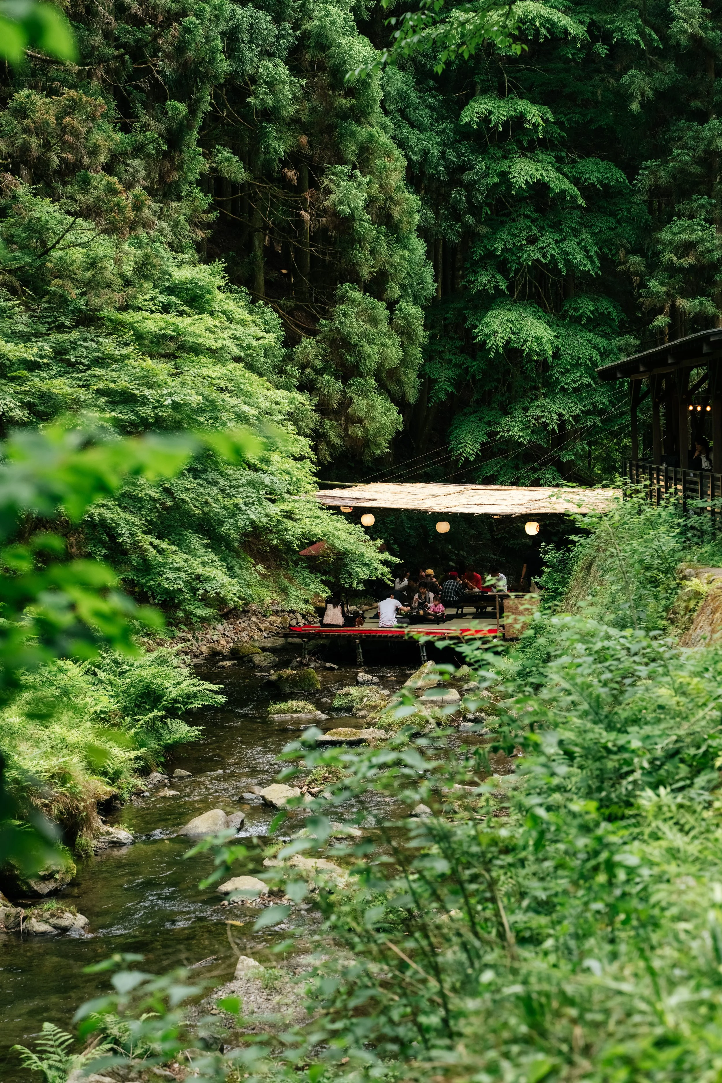 A small stream flowing through a lush green forest with a kawadoko dining seating area with people dining, surrounded by dense trees and foliage in Kibune, Kyoto, editorial travel photography, Japan.