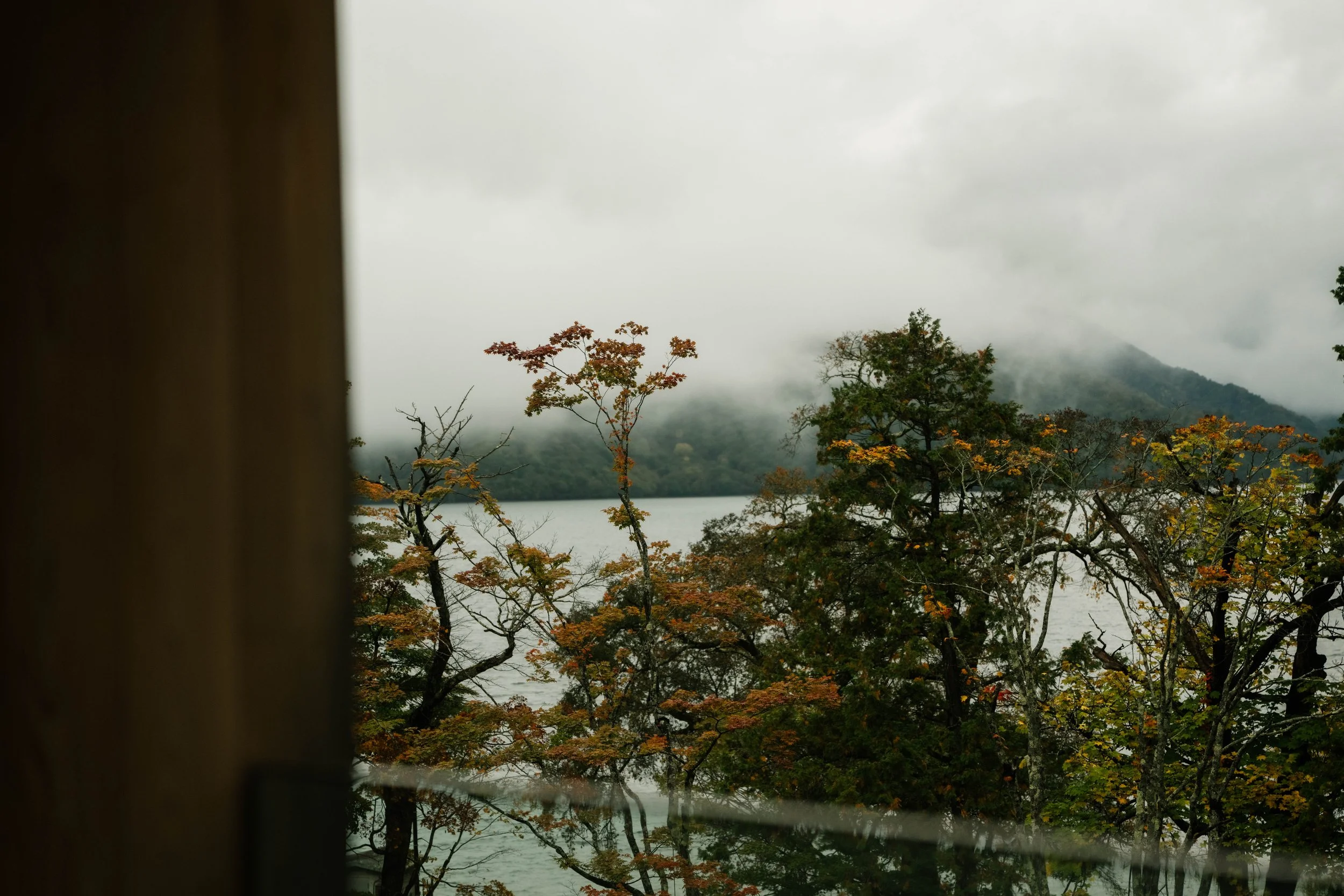View of foggy mountains and trees with colorful autumn leaves through a window.