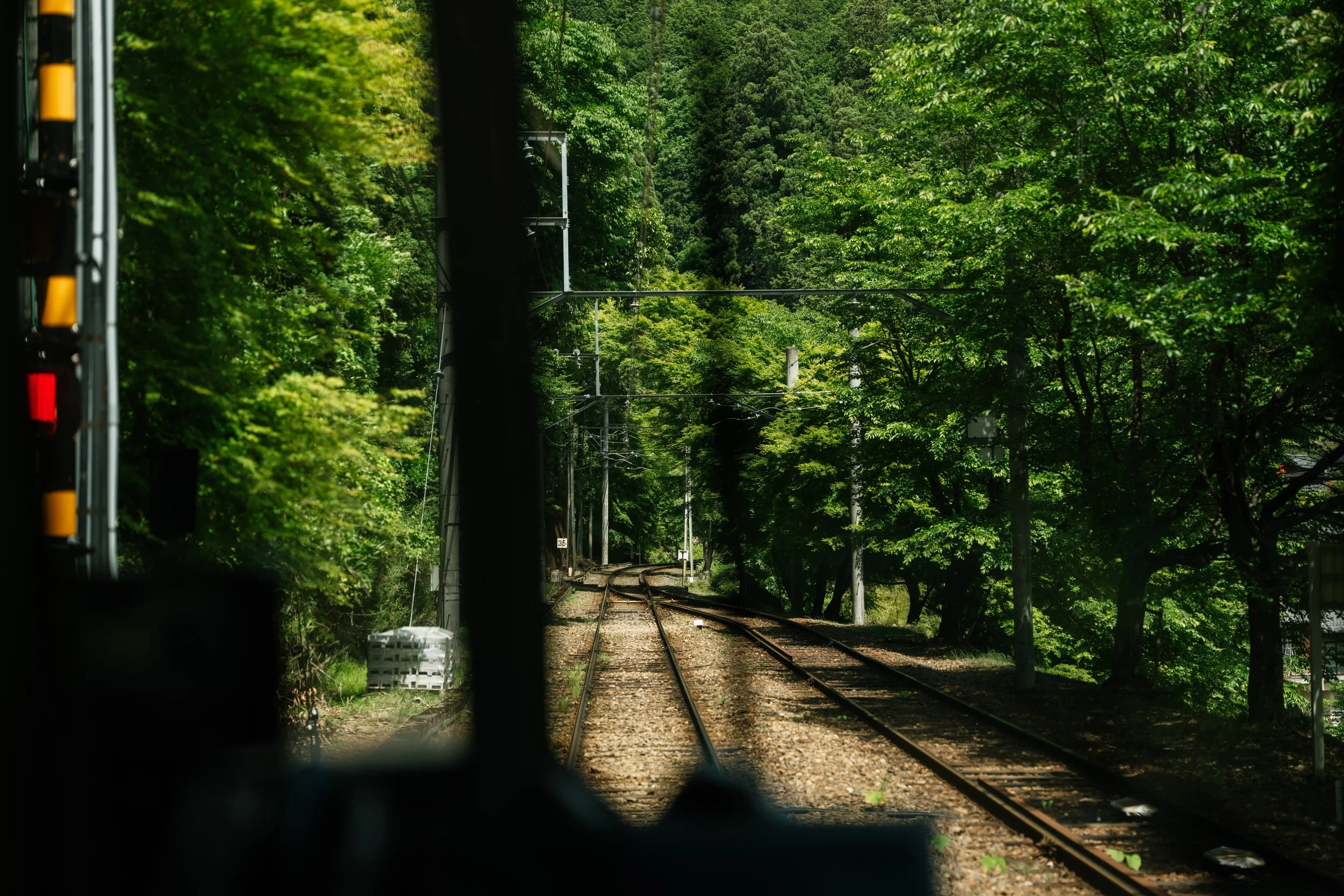 View from inside a train traveling through lush green forest with railway tracks ahead, overhead power lines, and a signal on the left side.
