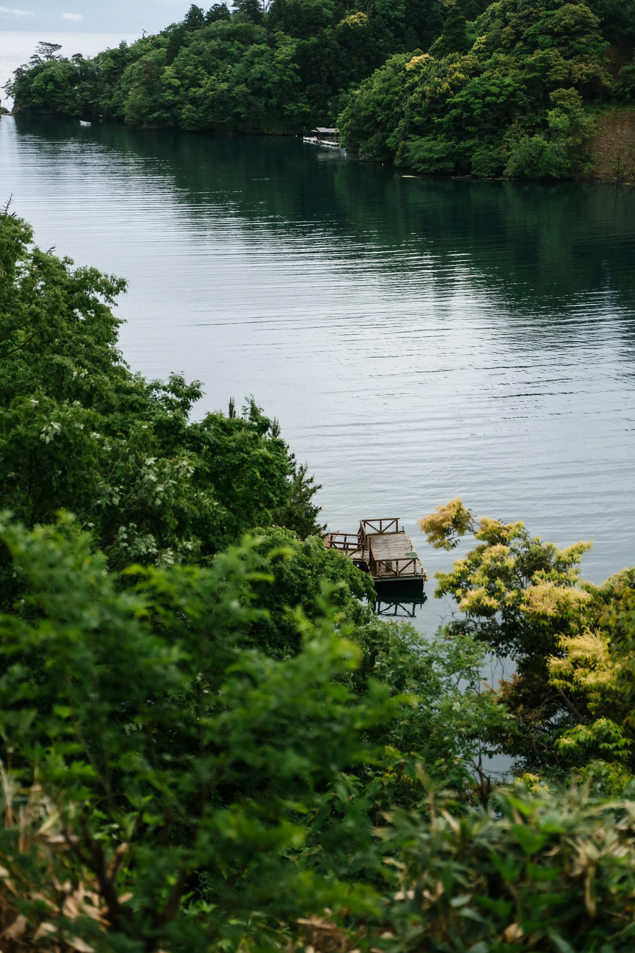 A scenic view of a calm lake surrounded by lush green trees with a small wooden dock extending into the water in the foreground.