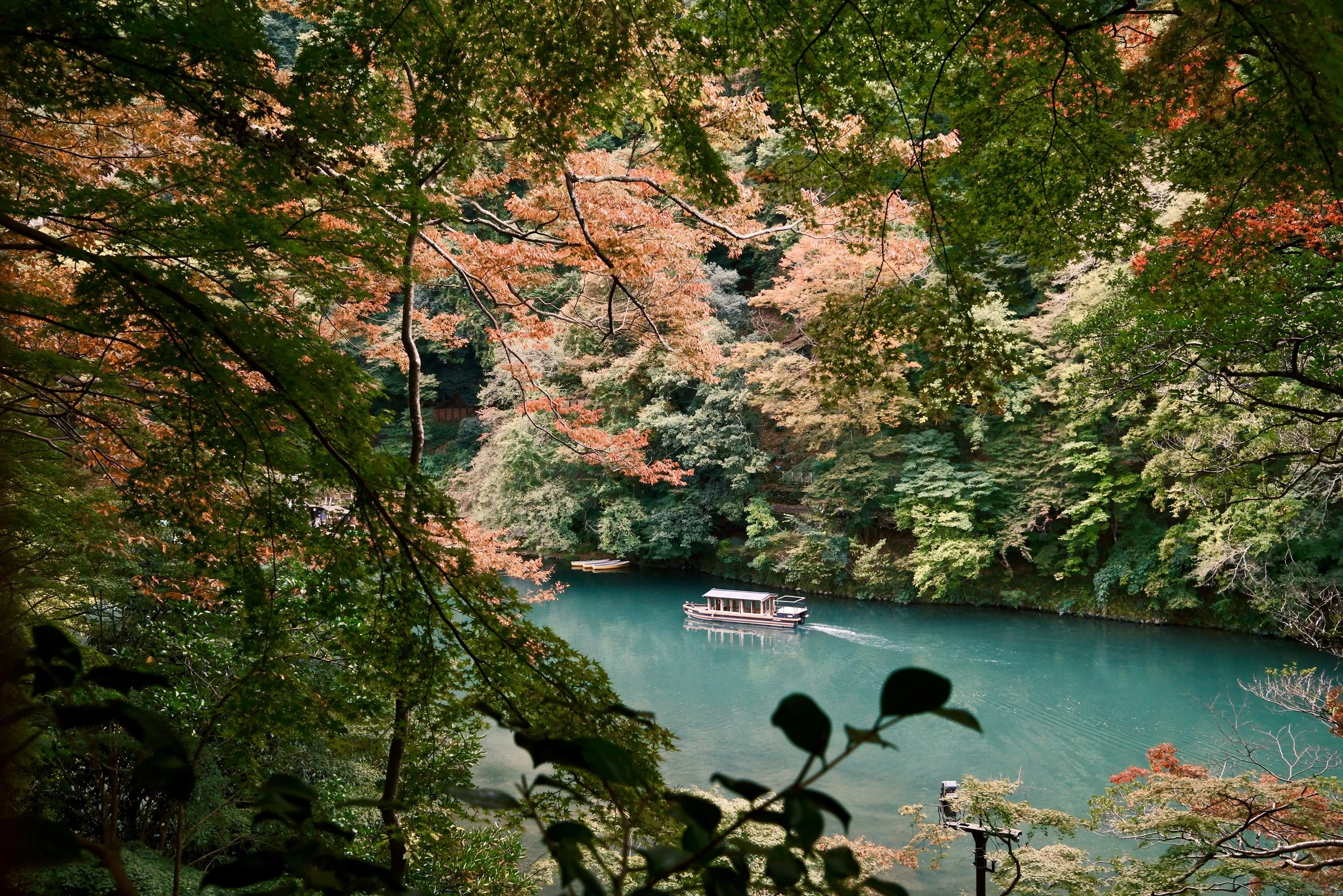 A scenic view of a river surrounded by trees with green and autumn-colored leaves in Arashiyama, Kyoto, travel photography in Japan.