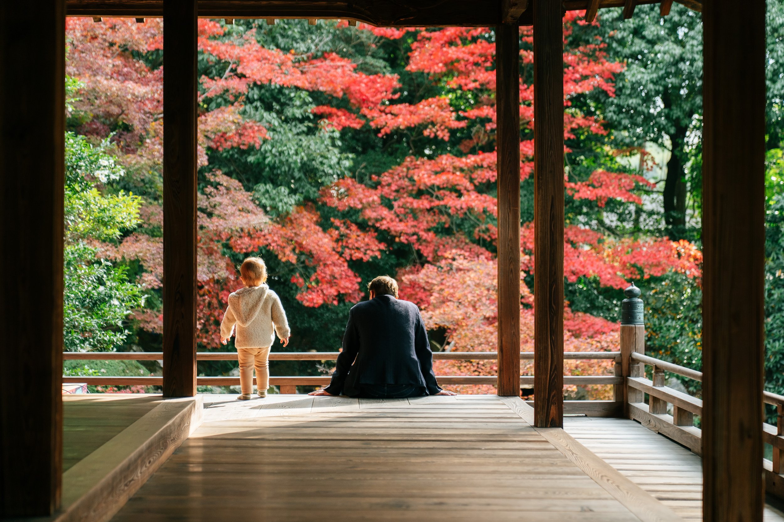 Two people, a child and an adult, sitting on the wooden floor of a traditional Japanese structure, overlooking a garden with vibrant red and green autumn foliage.