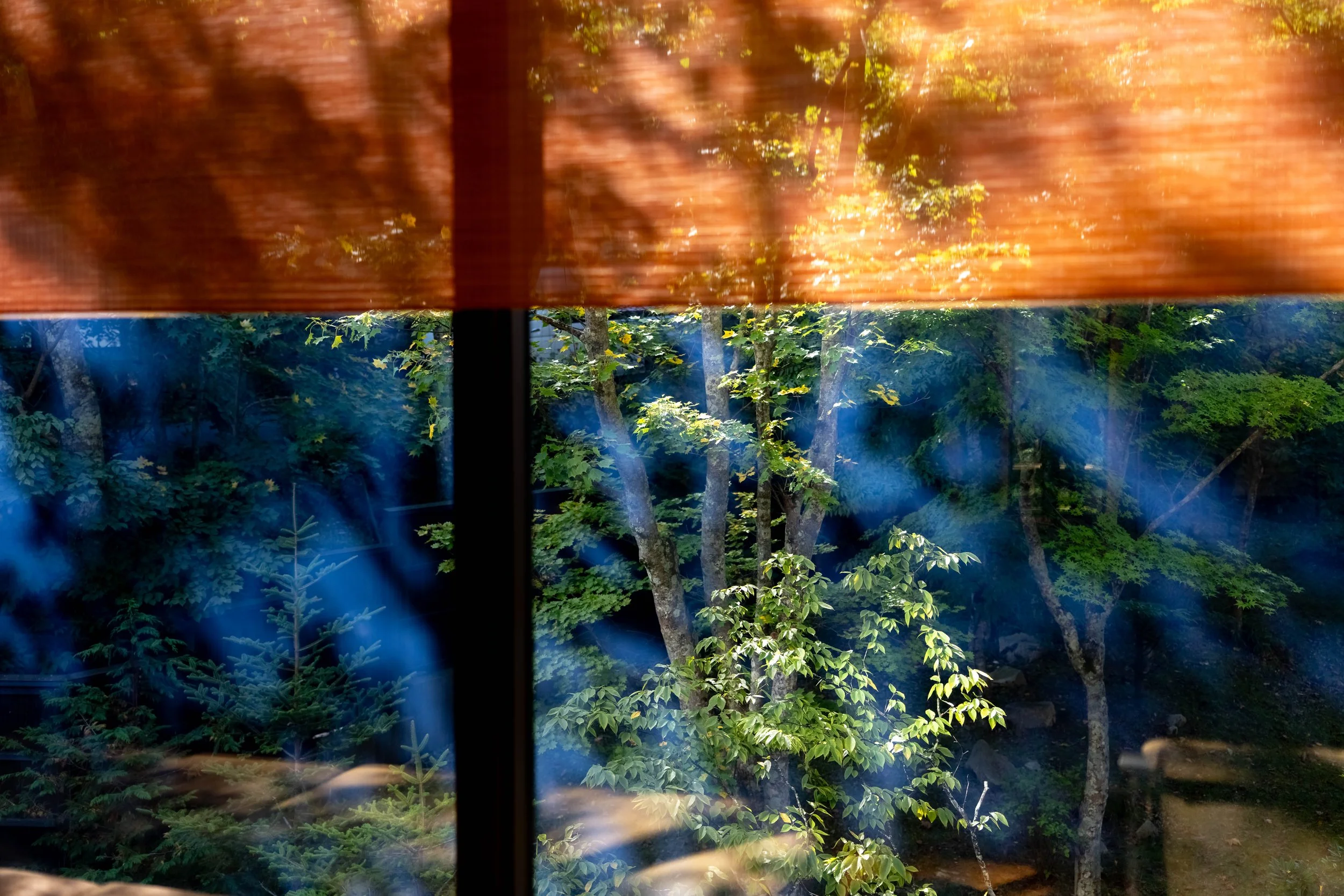 View of a lush green forest through a window with horizontal orange-colored blinds.
