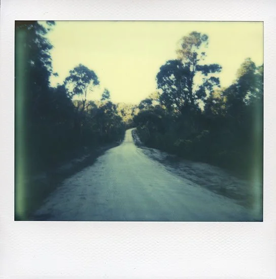 AnIslandOfSolitude11_aliceblanch.jpg