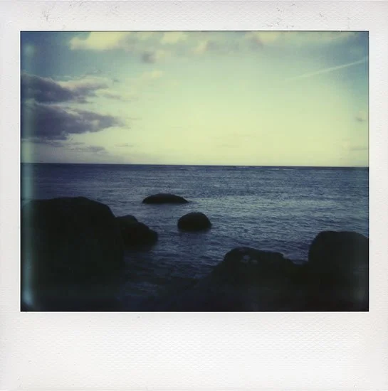 AnIslandOfSolitude10_aliceblanch.jpg