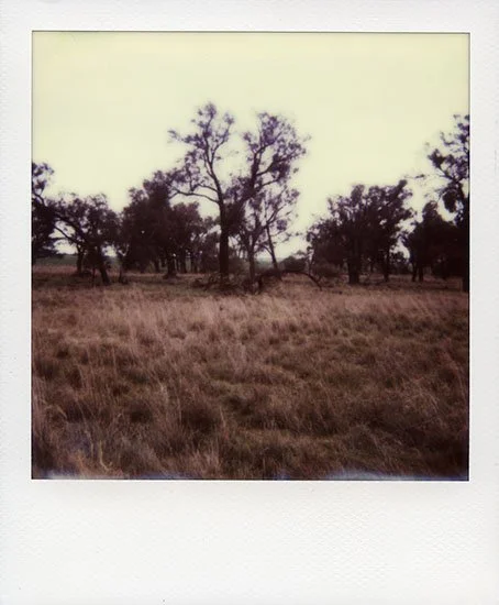 AnIslandOfSolitude3_aliceblanch.jpg