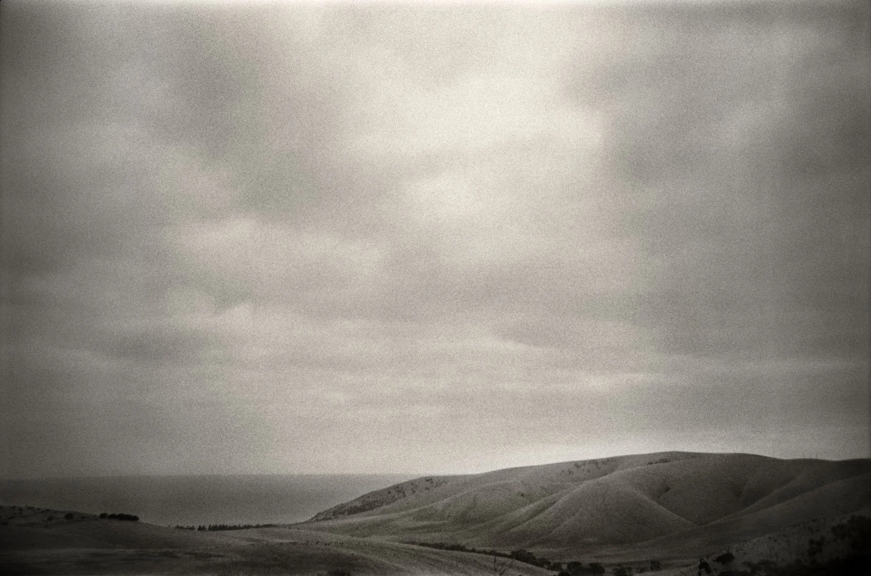 BoxBrownieLandscape#7.jpg
