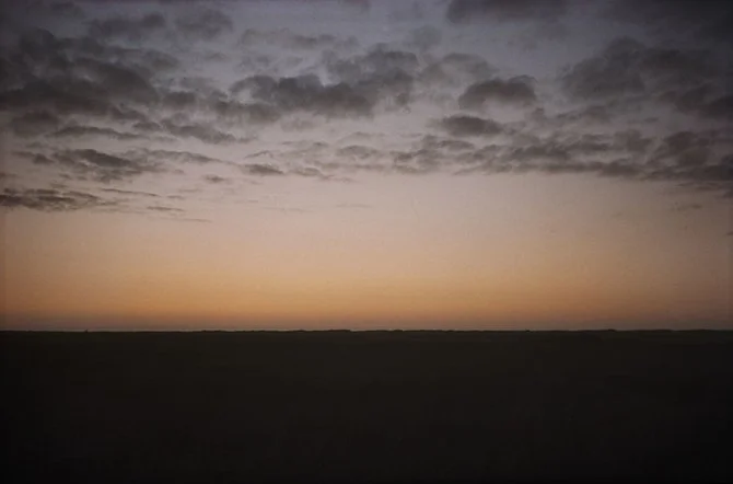 wild wanderings #7
