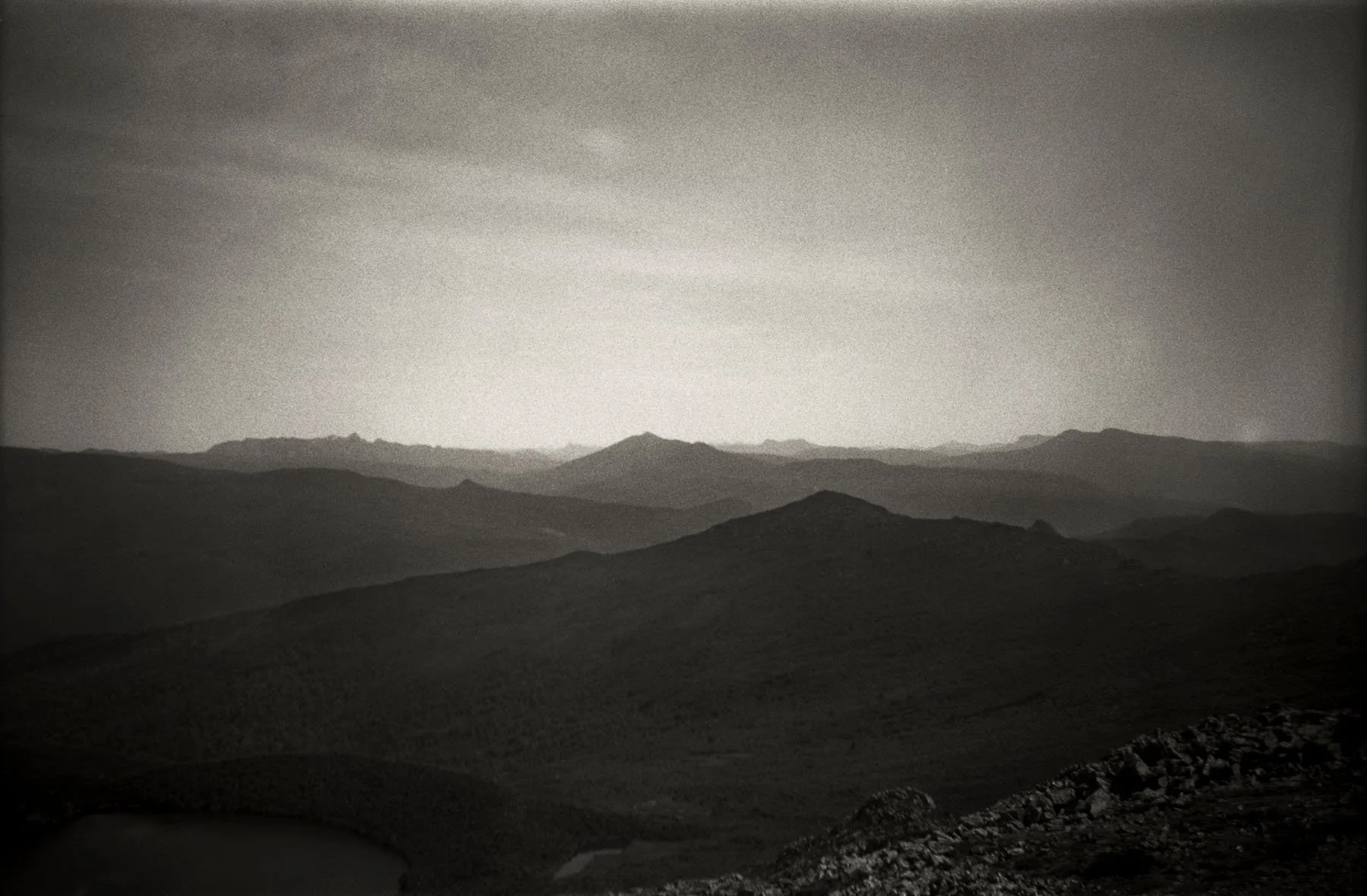 BoxBrownieLandscape#2.jpg