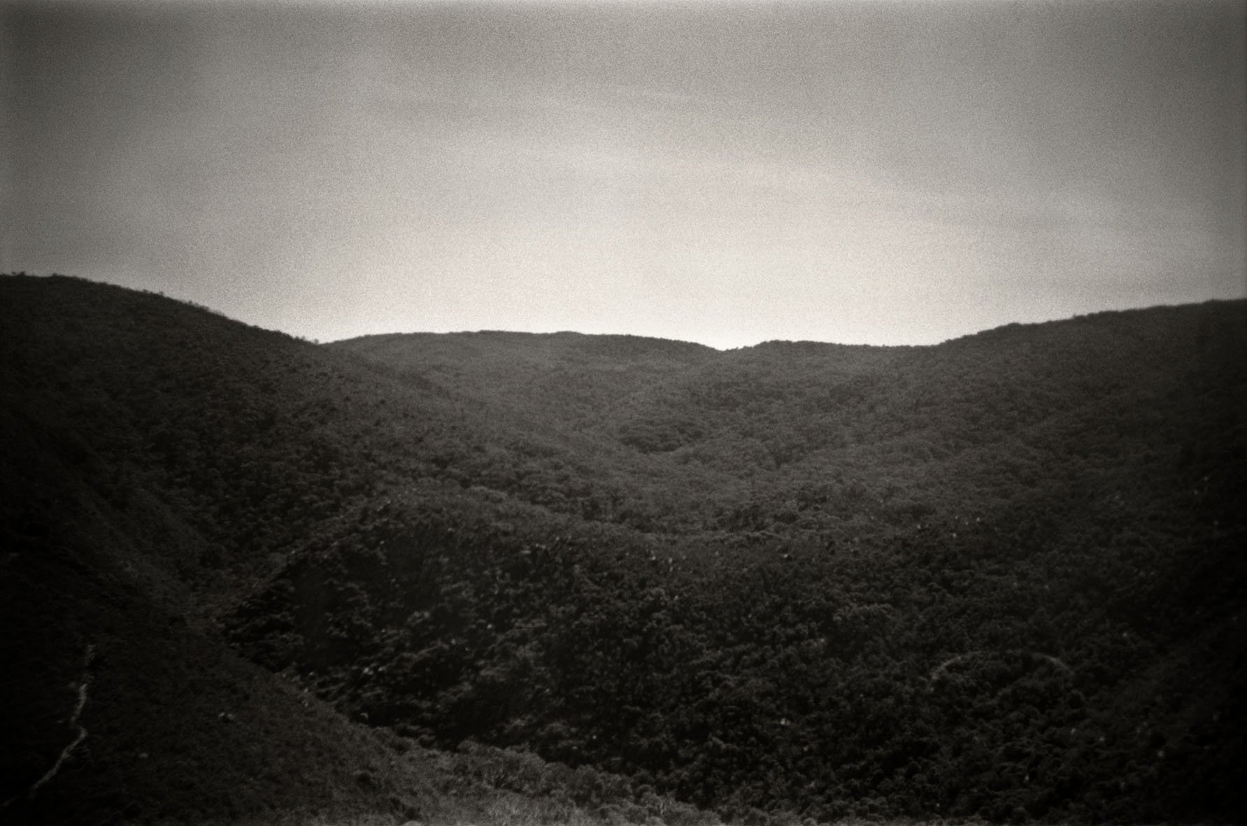 BoxBrownieLandscape#4.jpg