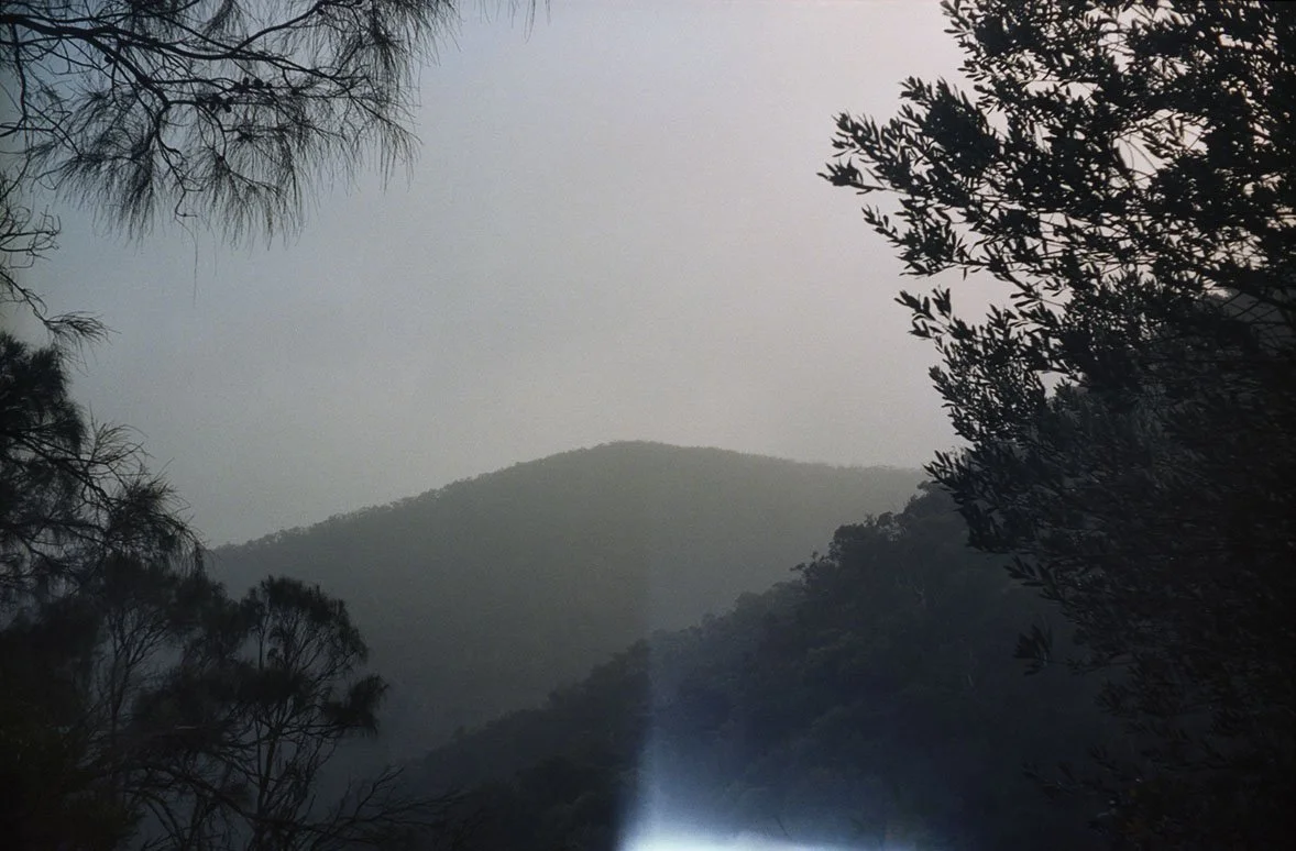 WildWanderings_26.jpg