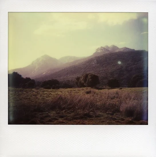 AnIslandOfSolitude8_aliceblanch.jpg